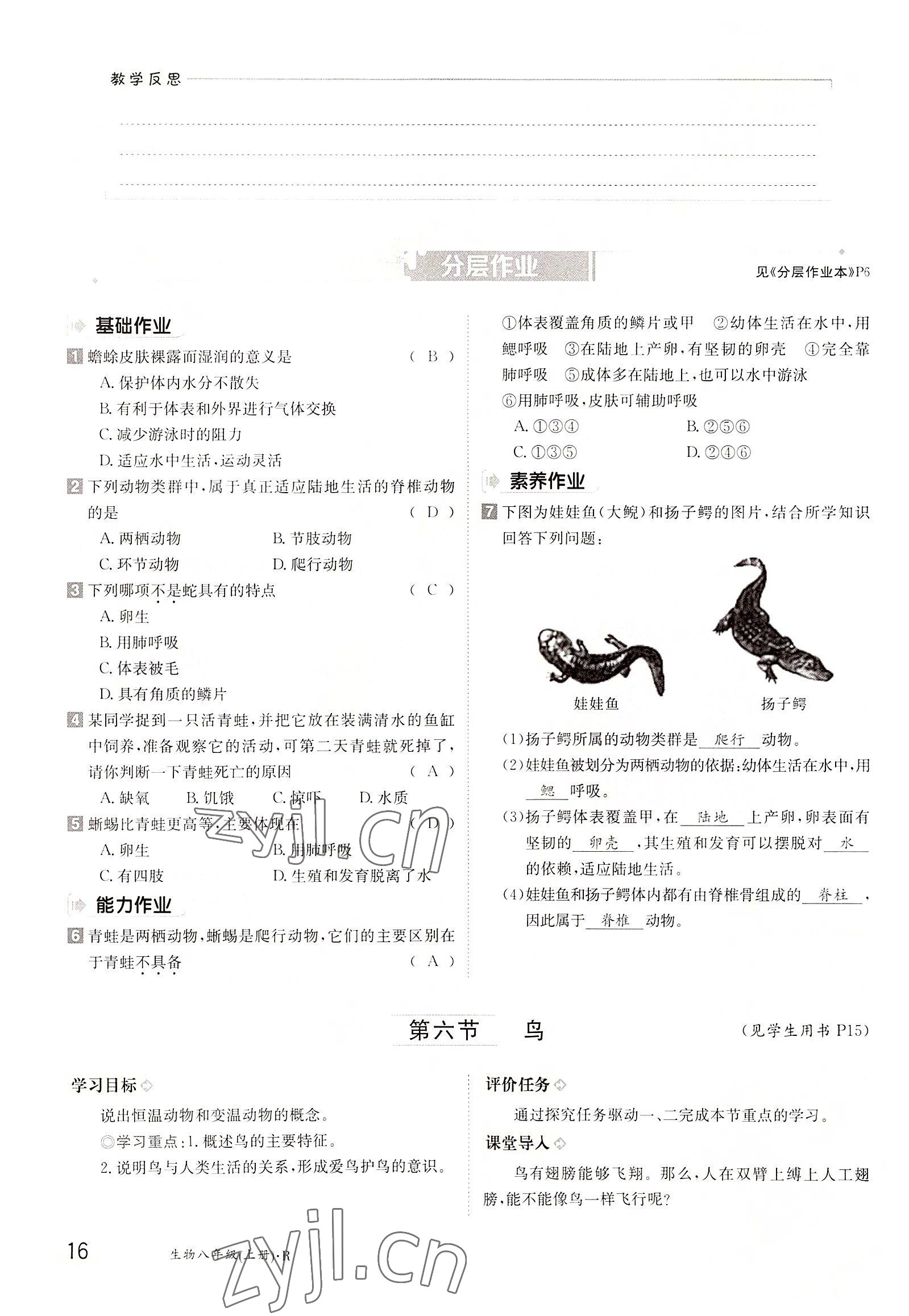 2022年金太陽分層作業(yè)本八年級生物上冊人教版 參考答案第16頁