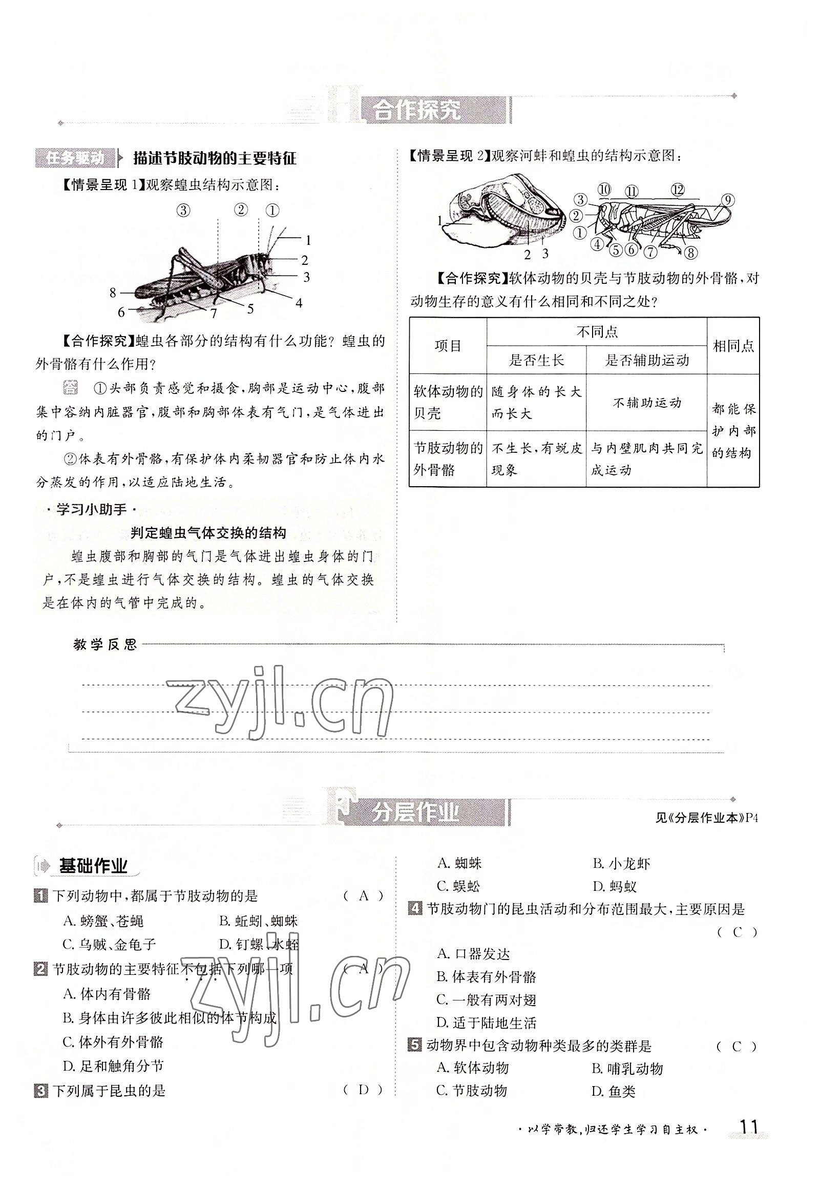 2022年金太陽分層作業(yè)本八年級生物上冊人教版 參考答案第11頁