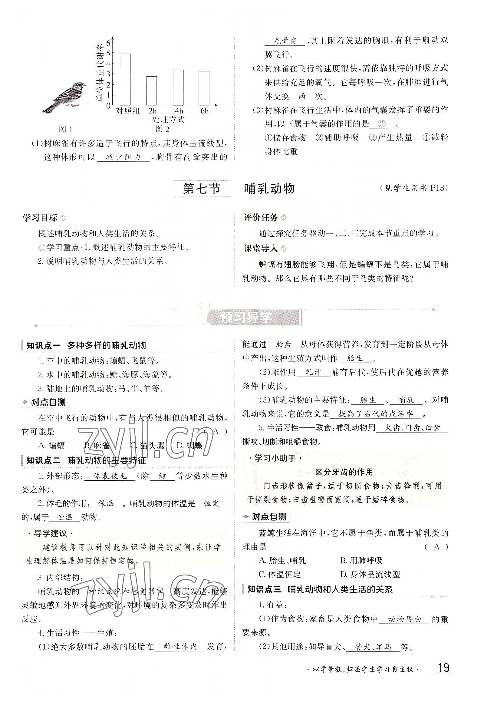 2022年金太陽分層作業(yè)本八年級生物上冊人教版 參考答案第19頁