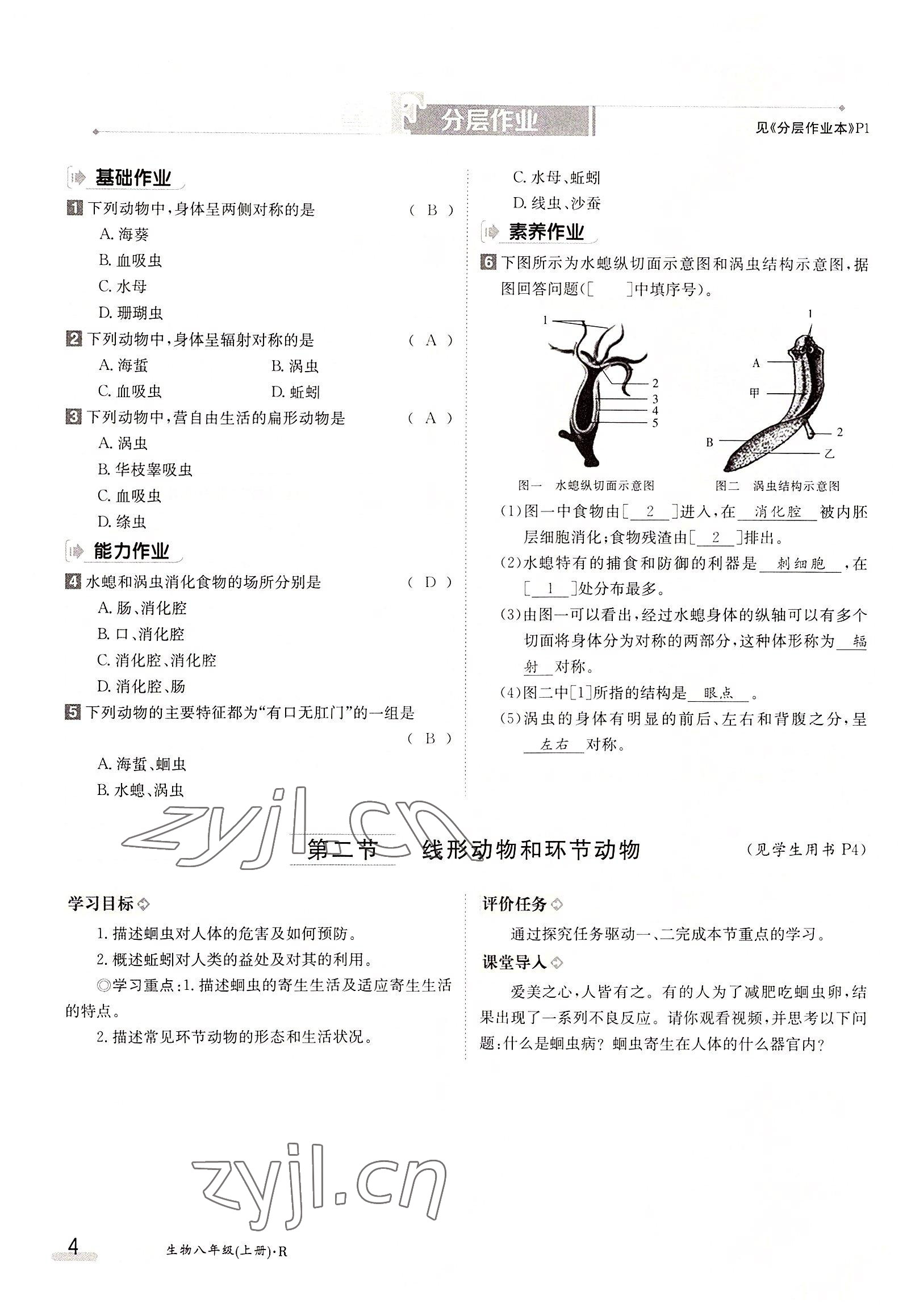 2022年金太陽(yáng)分層作業(yè)本八年級(jí)生物上冊(cè)人教版 參考答案第4頁(yè)