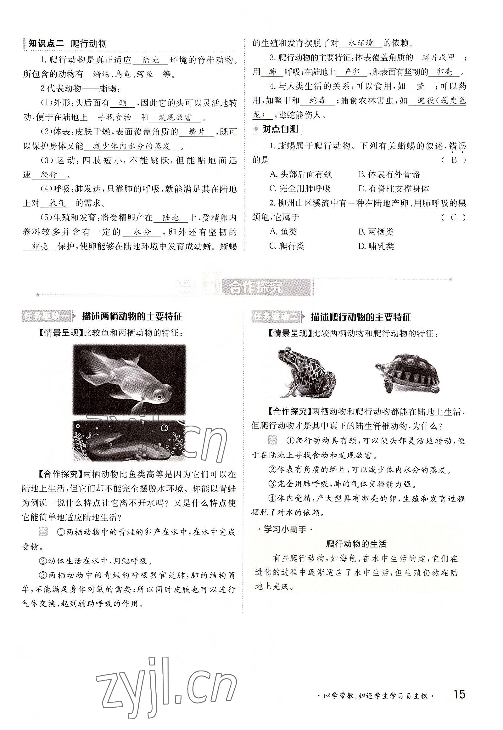 2022年金太陽分層作業(yè)本八年級生物上冊人教版 參考答案第15頁