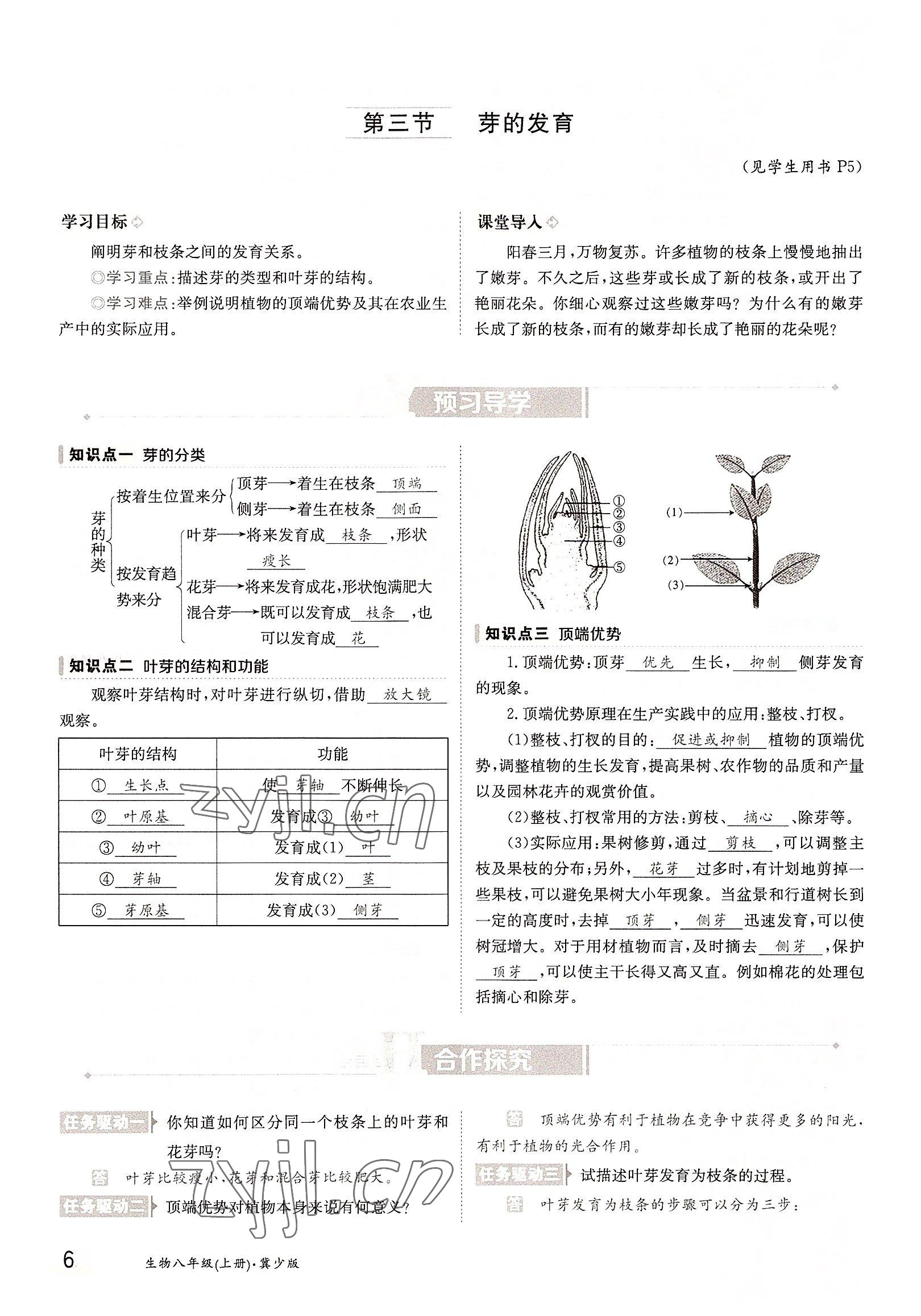 2022年金太陽分層作業(yè)本八年級(jí)生物上冊冀少版 參考答案第6頁