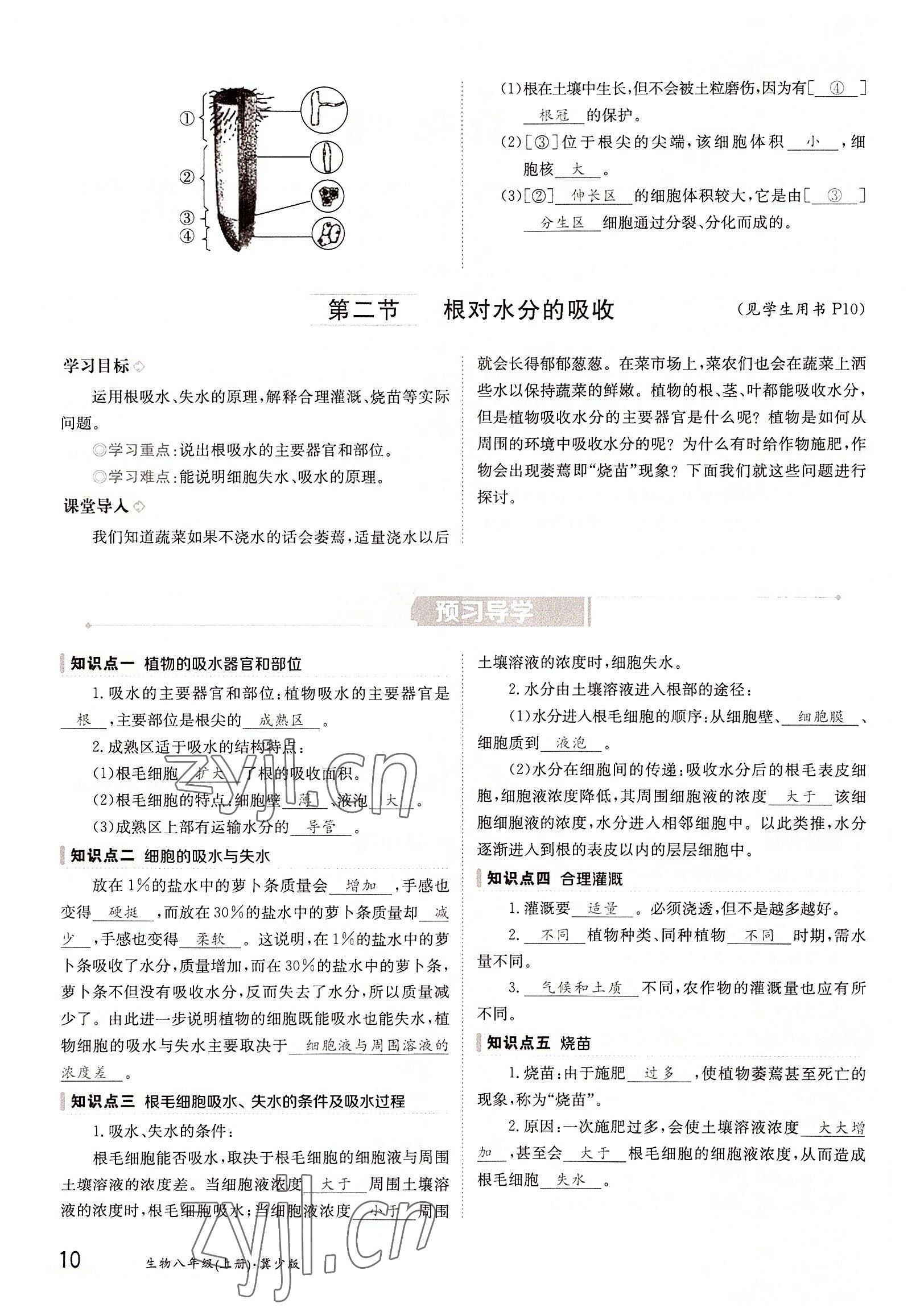 2022年金太陽分層作業(yè)本八年級生物上冊冀少版 參考答案第10頁