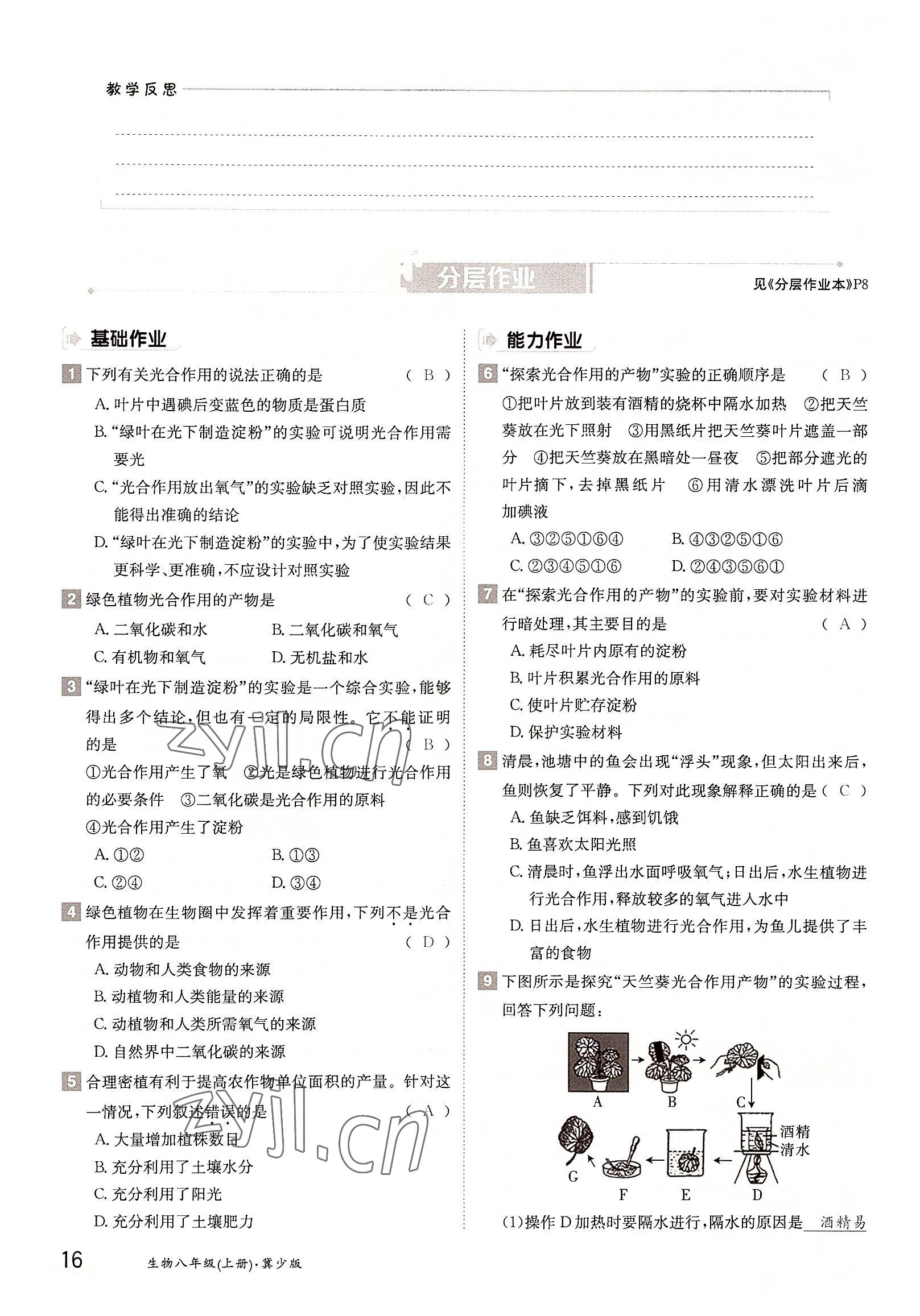 2022年金太陽分層作業本八年級生物上冊冀少版 參考答案第16頁