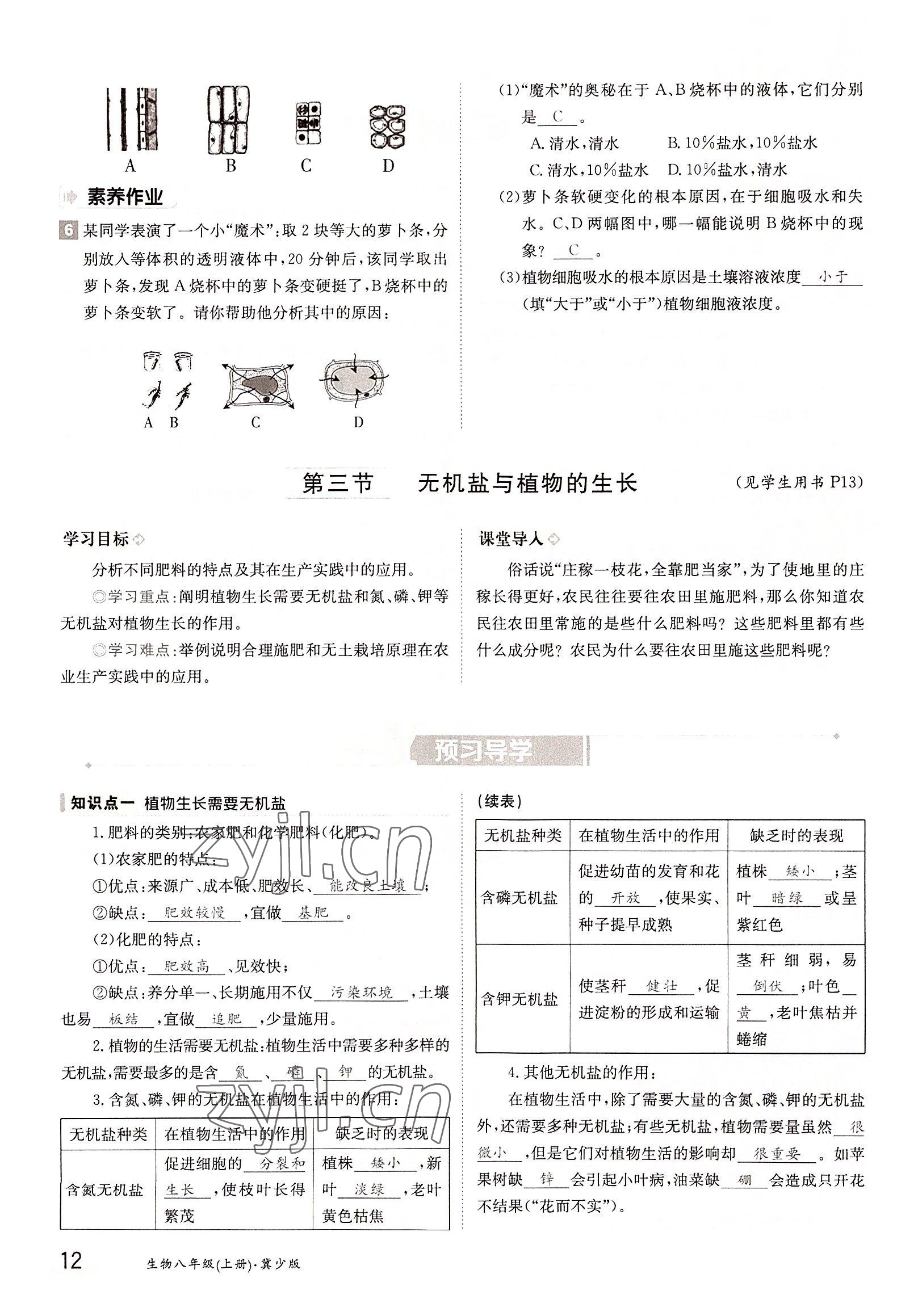 2022年金太陽分層作業(yè)本八年級生物上冊冀少版 參考答案第12頁