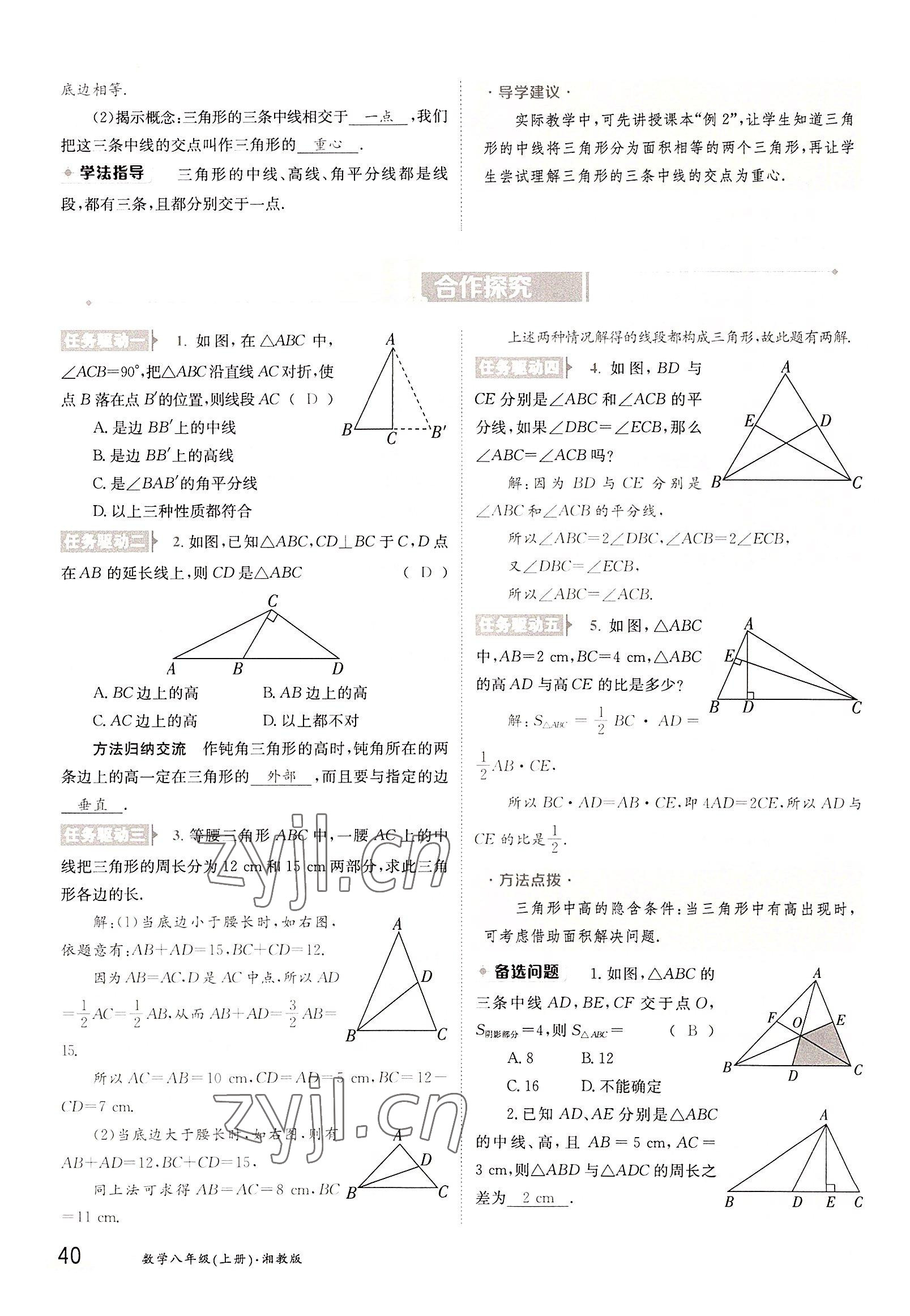 2022年金太陽分層作業本八年級數學上冊湘教版 參考答案第40頁