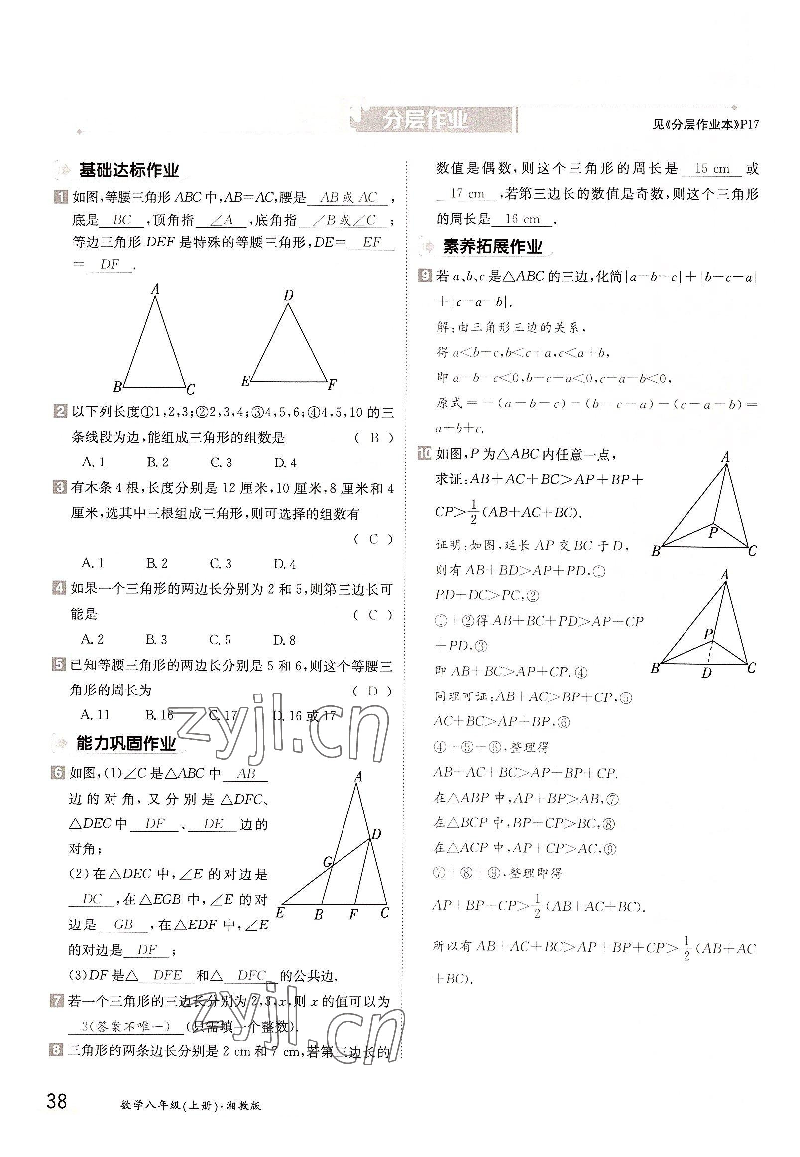 2022年金太陽分層作業(yè)本八年級數(shù)學(xué)上冊湘教版 參考答案第38頁