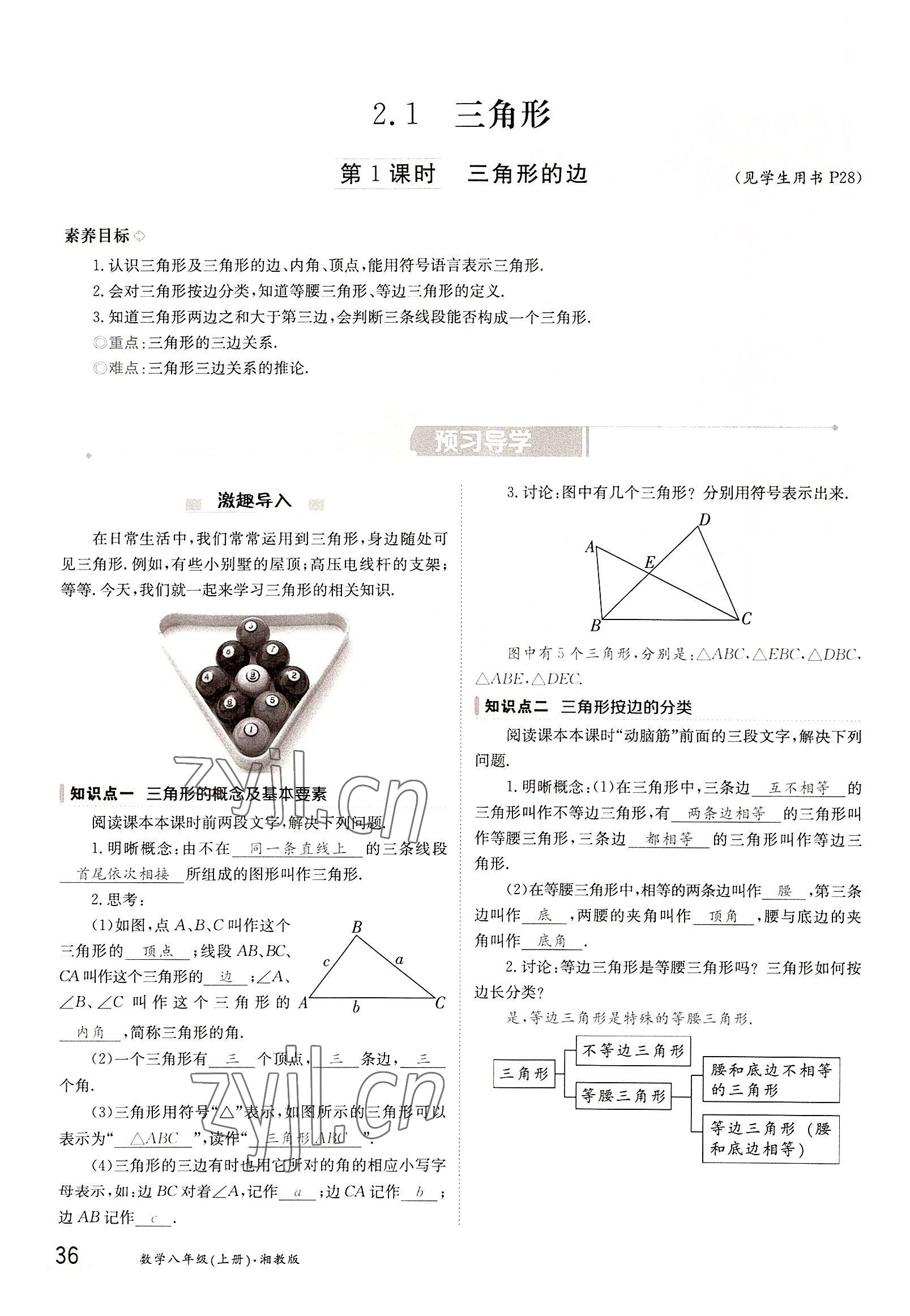 2022年金太陽分層作業(yè)本八年級數(shù)學(xué)上冊湘教版 參考答案第36頁