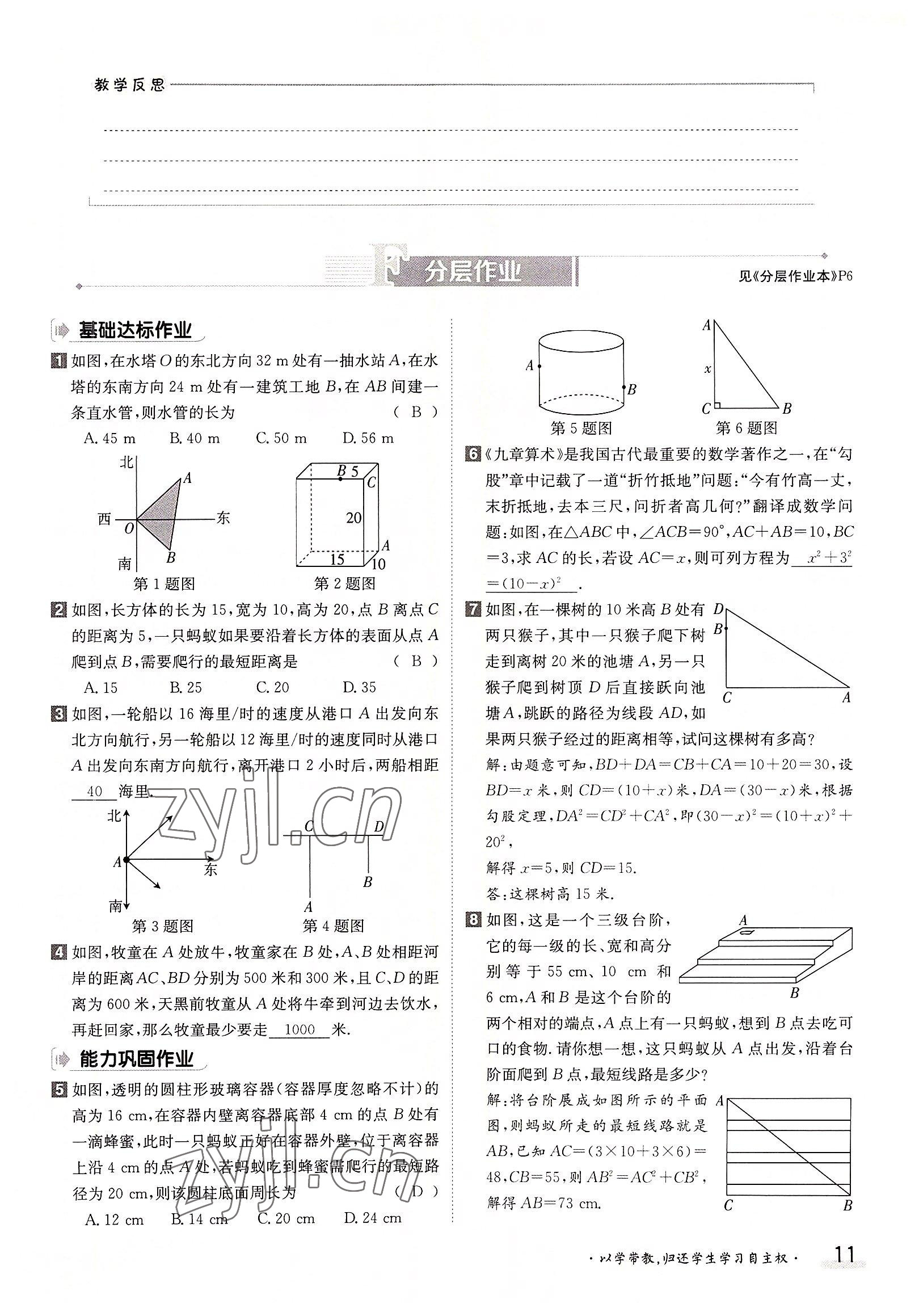 2022年金太陽分層作業(yè)本八年級數(shù)學上冊北師大版 參考答案第11頁