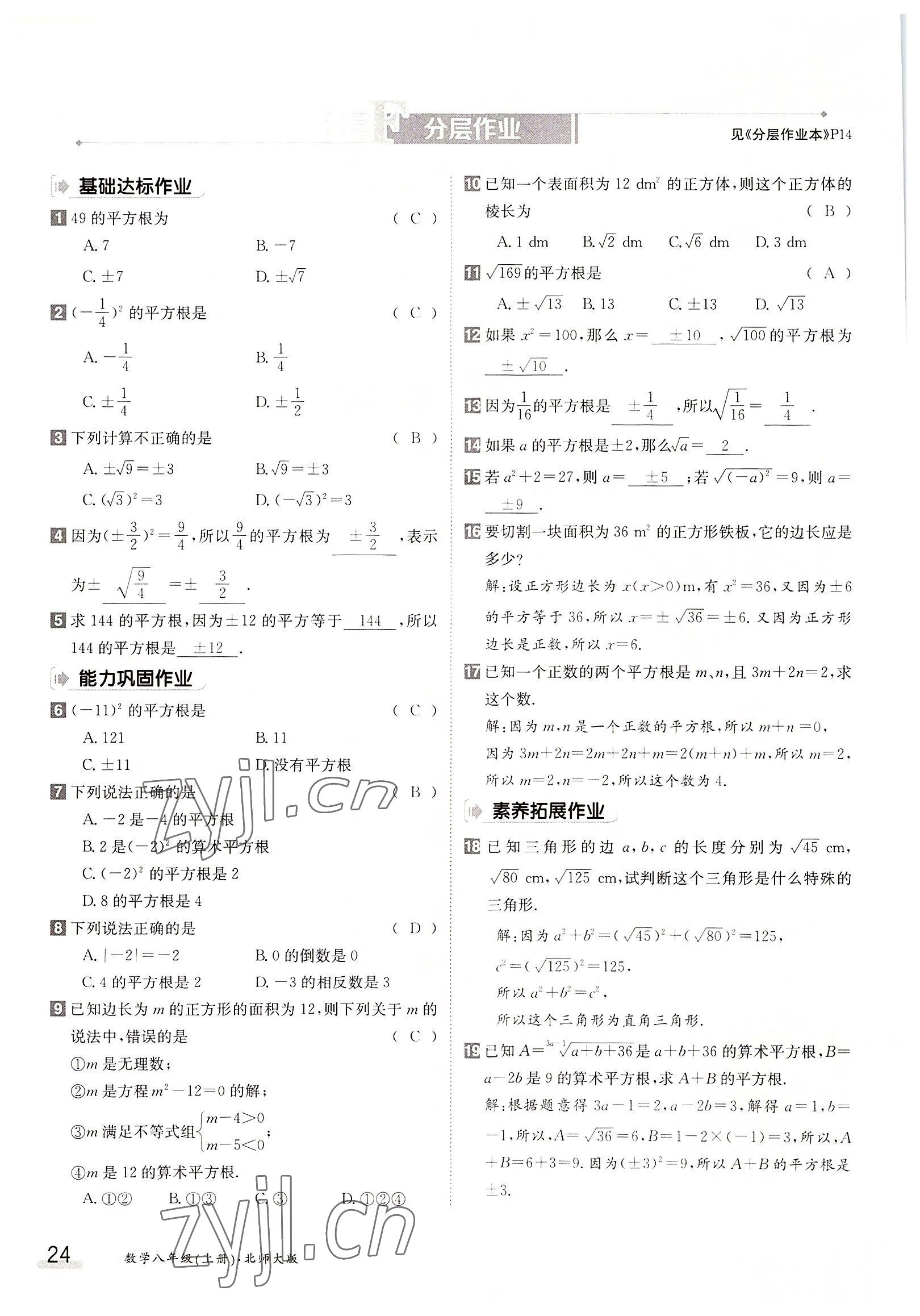 2022年金太陽(yáng)分層作業(yè)本八年級(jí)數(shù)學(xué)上冊(cè)北師大版 參考答案第24頁(yè)