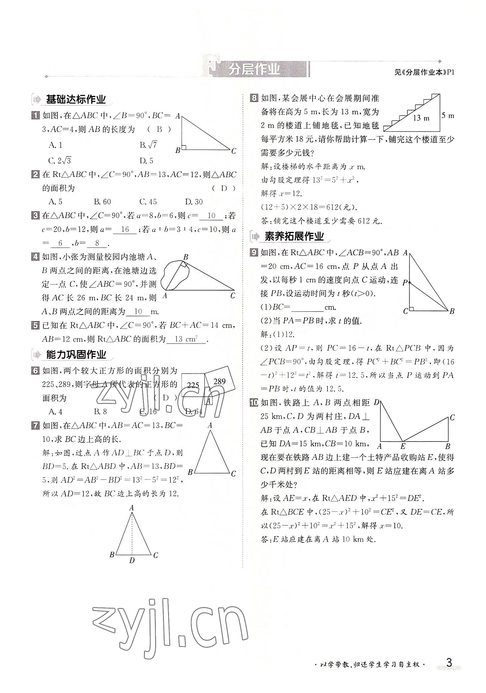 2022年金太陽分層作業(yè)本八年級數(shù)學上冊北師大版 參考答案第3頁