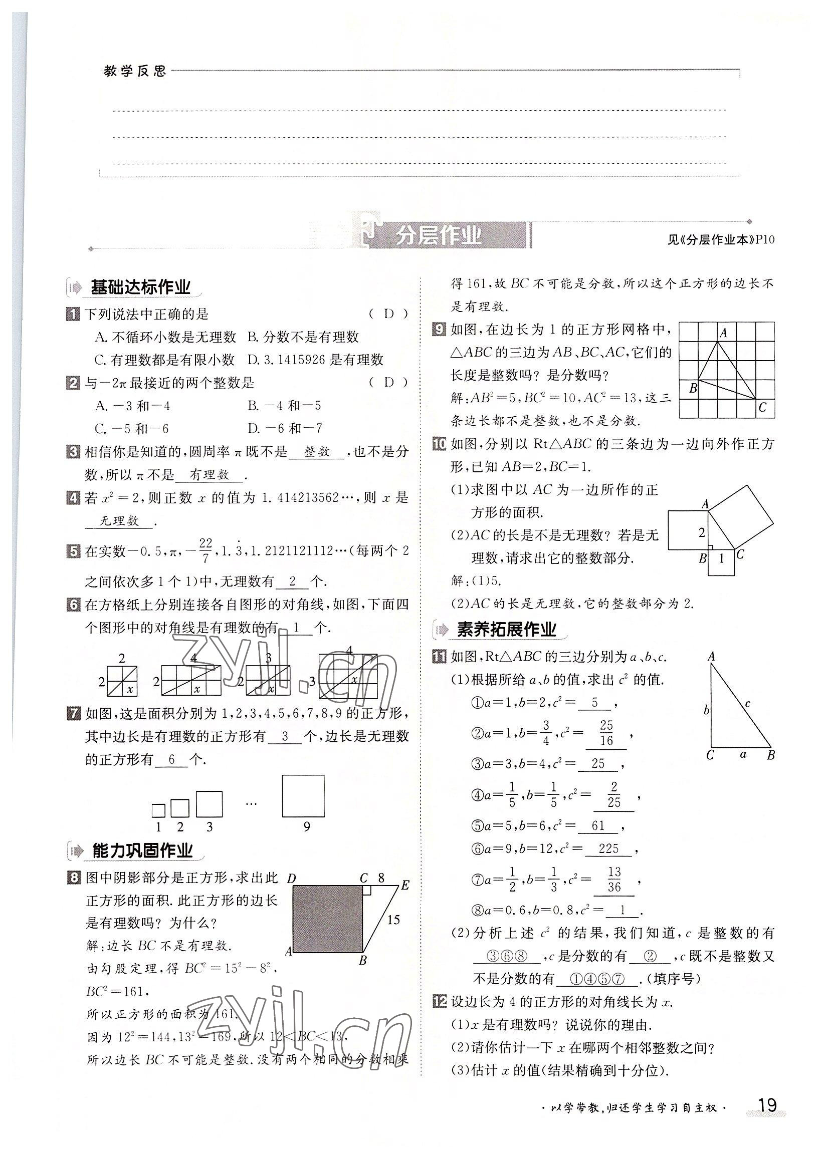 2022年金太陽分層作業本八年級數學上冊北師大版 參考答案第19頁