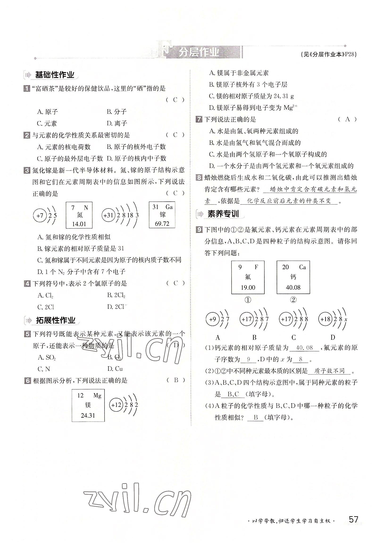 2022年金太陽分層作業(yè)本九年級化學(xué)全一冊人教版 參考答案第57頁