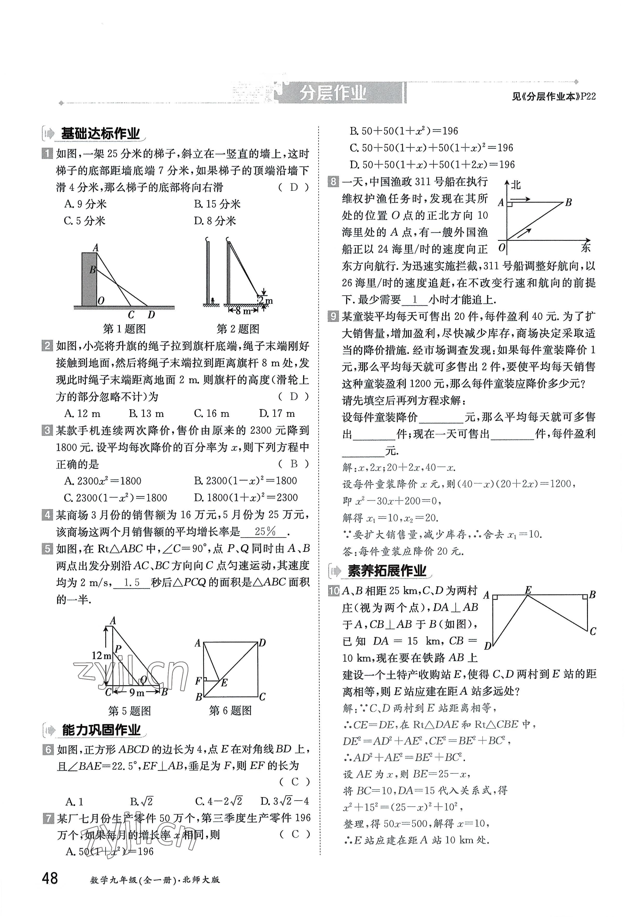 2022年金太陽分層作業(yè)本九年級數(shù)學全一冊北師大版 參考答案第48頁