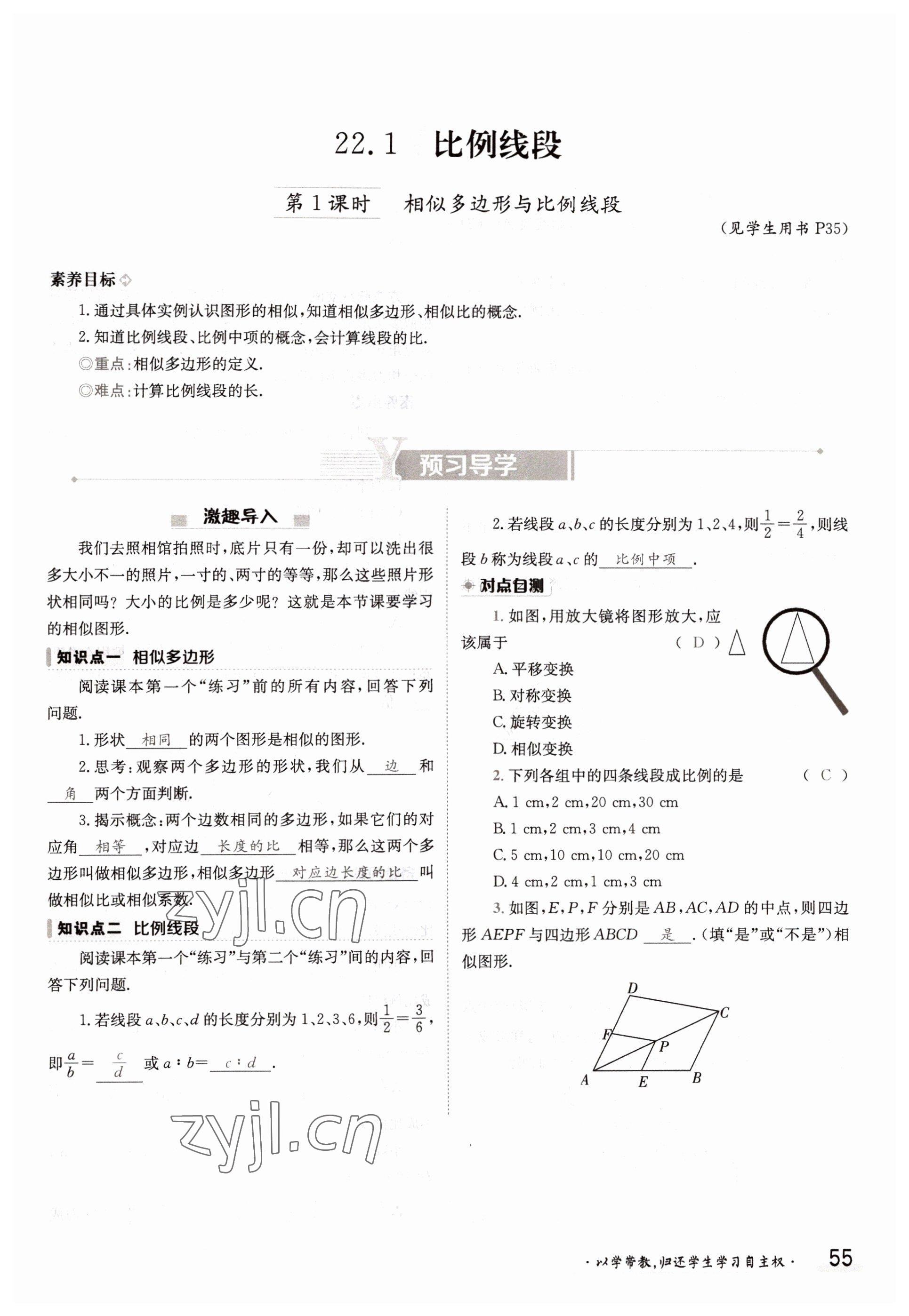 2022年金太陽(yáng)分層作業(yè)本九年級(jí)數(shù)學(xué)全一冊(cè)滬科版 參考答案第55頁(yè)