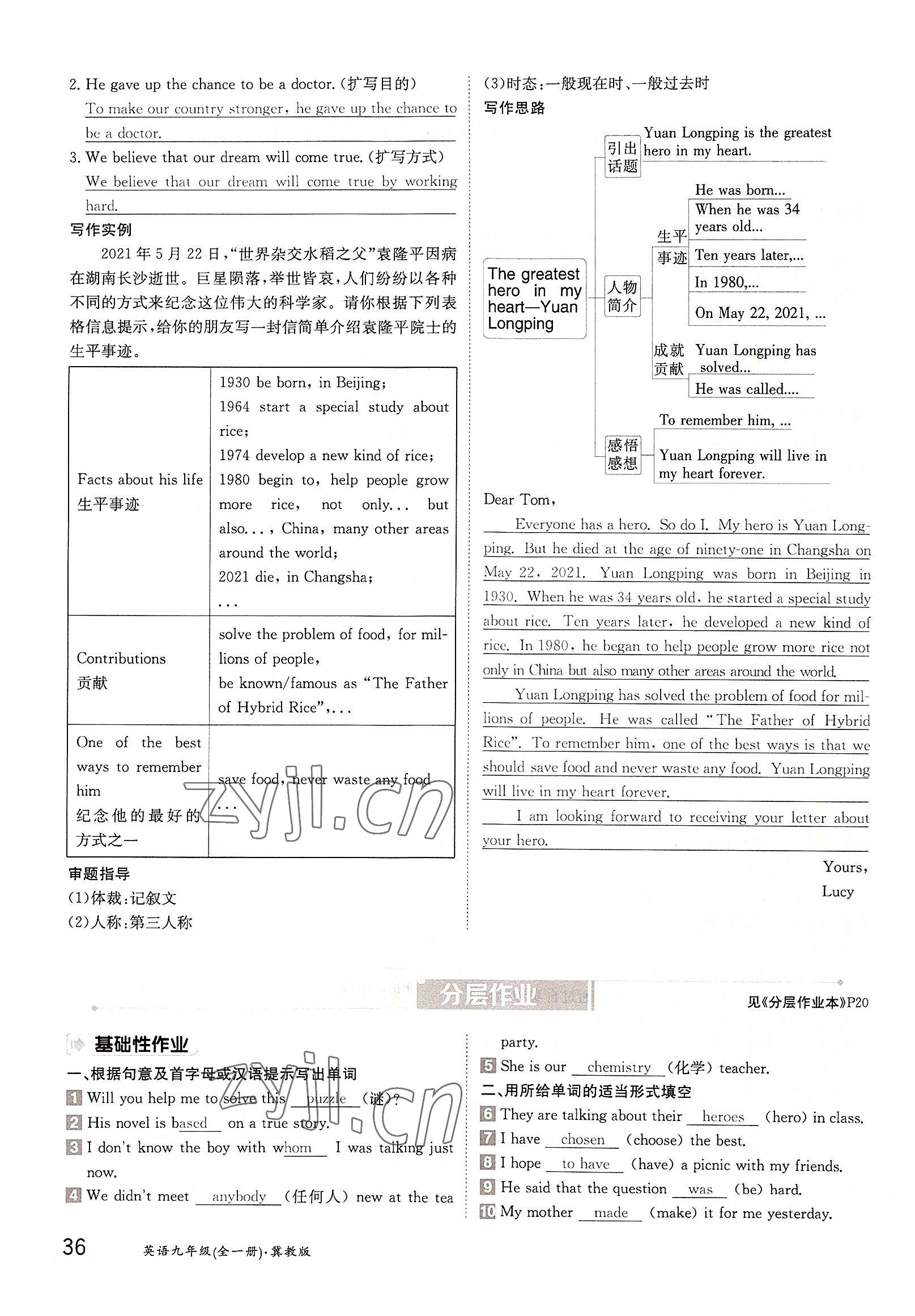 2022年金太陽分層作業(yè)本九年級(jí)英語全一冊(cè)冀教版 參考答案第36頁