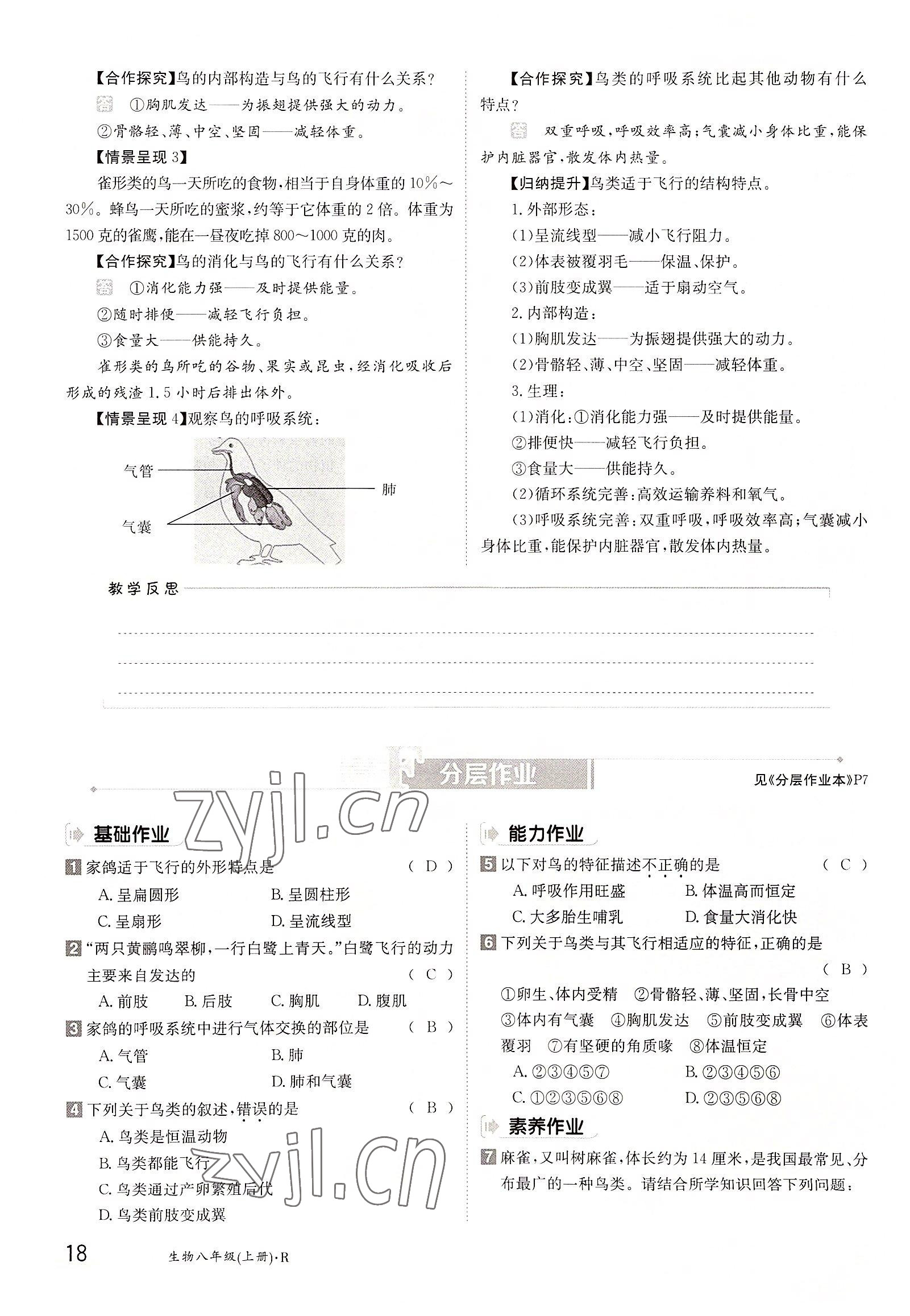 2022年三段六步導學測評八年級生物上冊人教版 參考答案第18頁