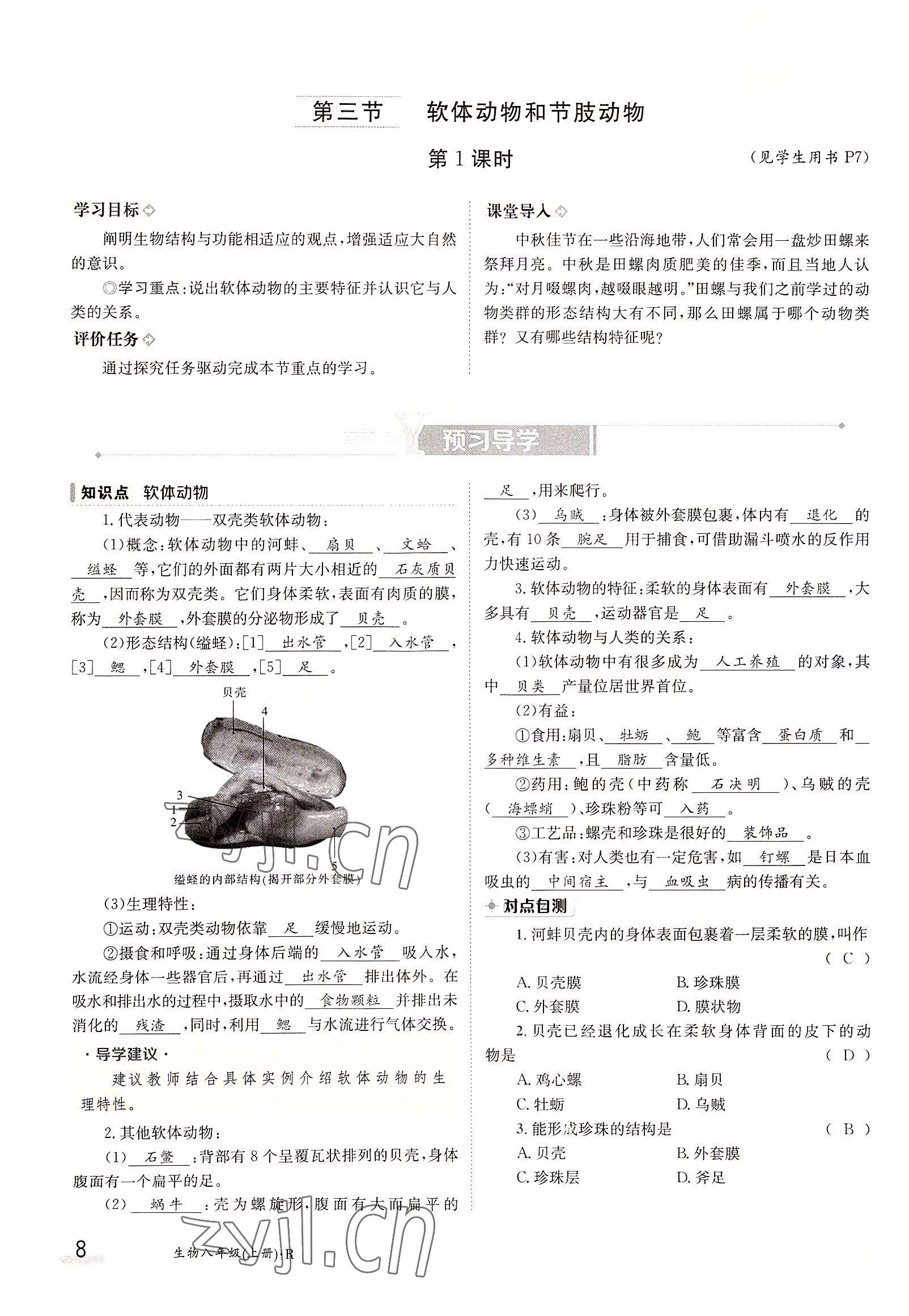 2022年三段六步導(dǎo)學(xué)測(cè)評(píng)八年級(jí)生物上冊(cè)人教版 參考答案第8頁(yè)