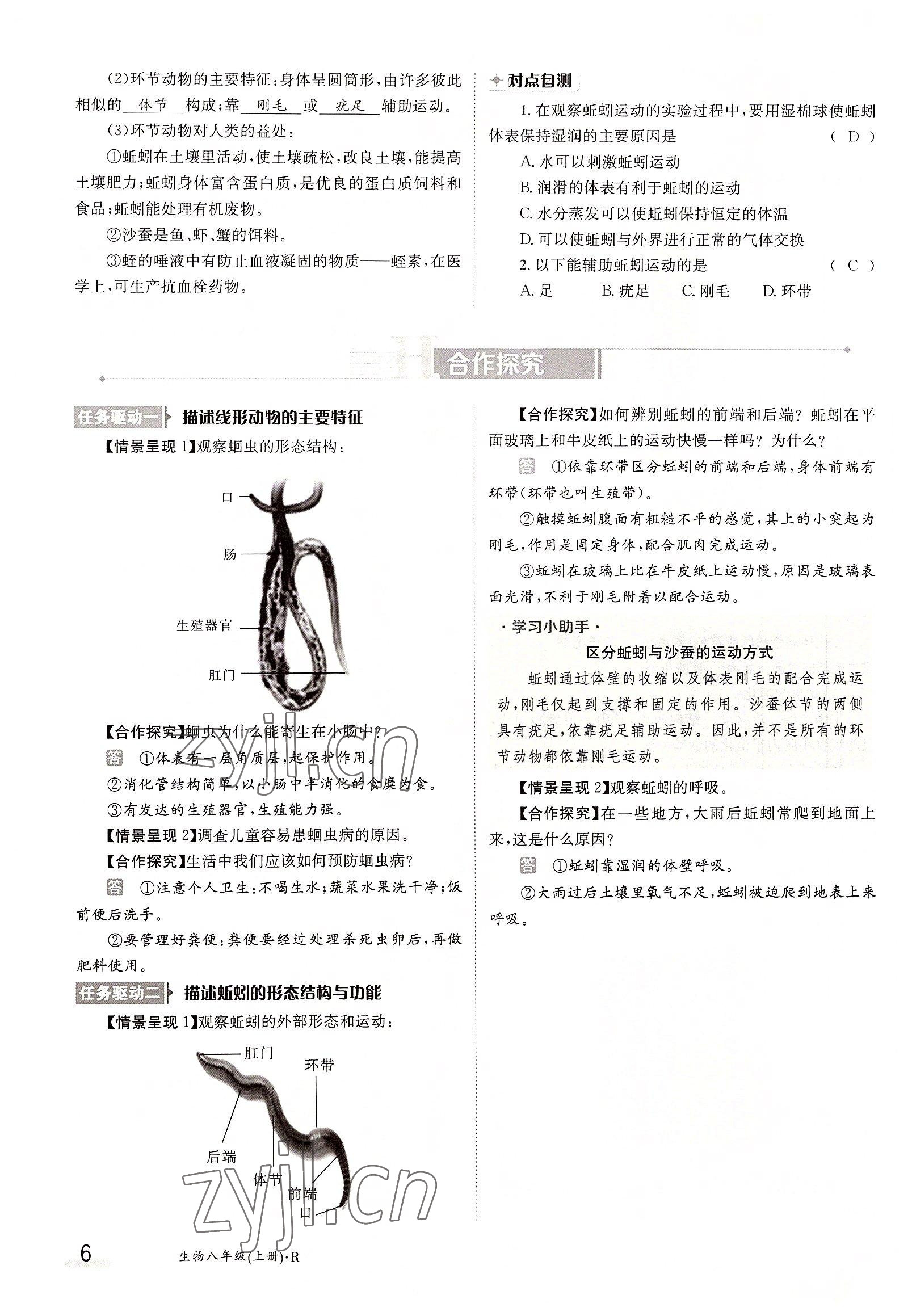 2022年三段六步導學測評八年級生物上冊人教版 參考答案第6頁