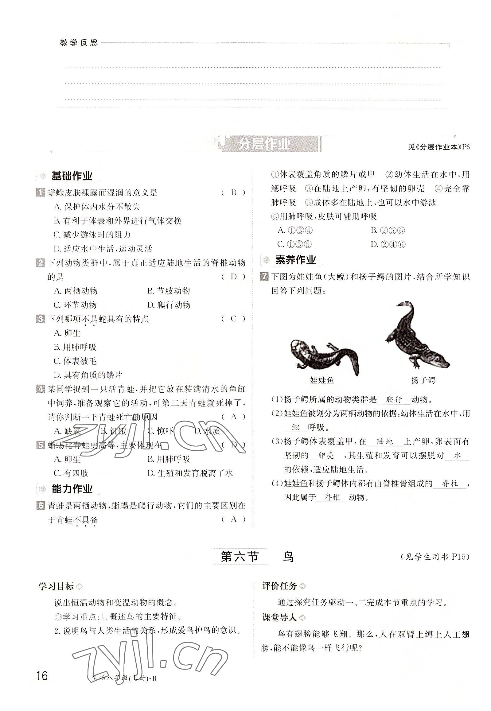 2022年三段六步導(dǎo)學(xué)測(cè)評(píng)八年級(jí)生物上冊(cè)人教版 參考答案第16頁(yè)