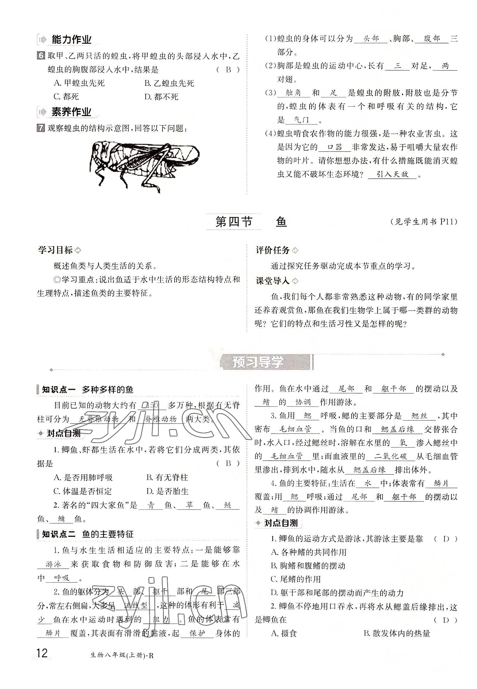 2022年三段六步導學測評八年級生物上冊人教版 參考答案第12頁