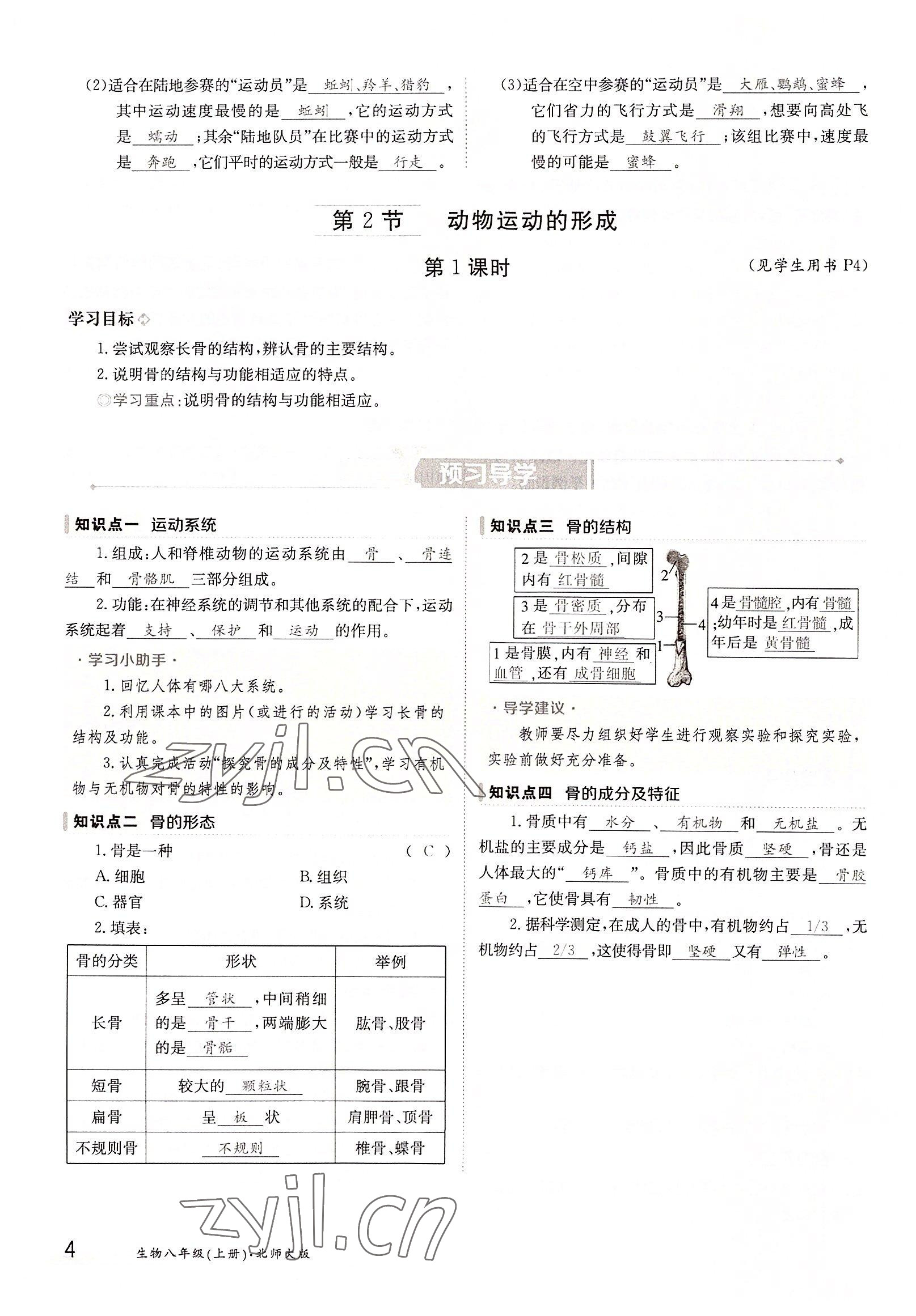 2022年三段六步導(dǎo)學(xué)測(cè)評(píng)八年級(jí)生物上冊(cè)北師大版 參考答案第4頁(yè)