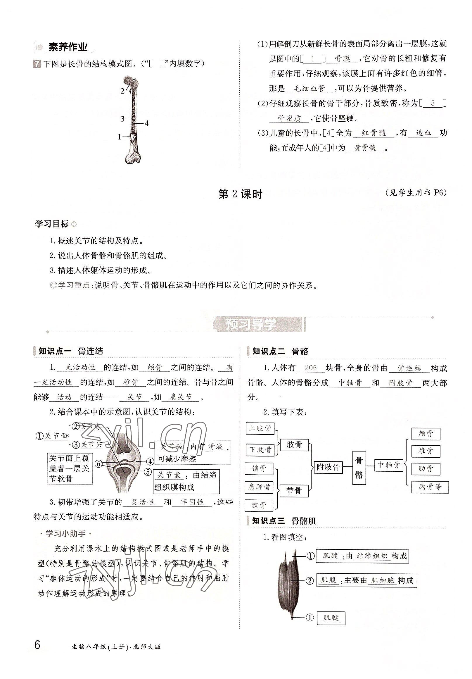 2022年三段六步導(dǎo)學(xué)測評八年級生物上冊北師大版 參考答案第6頁