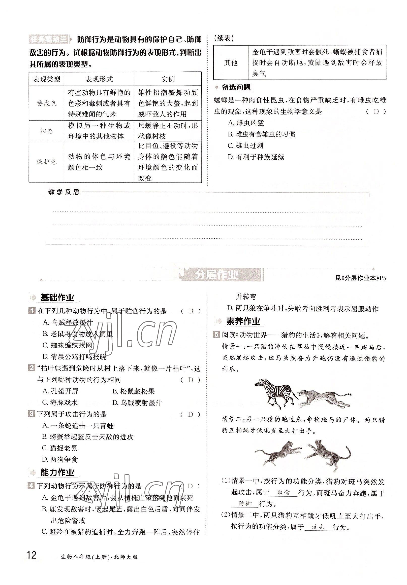 2022年三段六步導(dǎo)學(xué)測評八年級生物上冊北師大版 參考答案第12頁