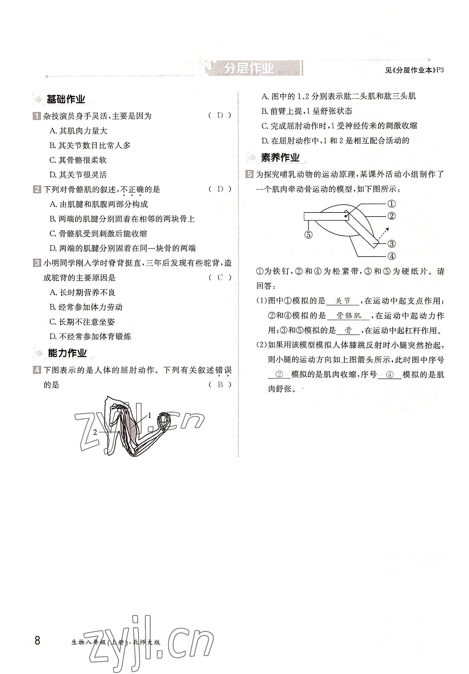 2022年三段六步導(dǎo)學(xué)測(cè)評(píng)八年級(jí)生物上冊(cè)北師大版 參考答案第8頁(yè)