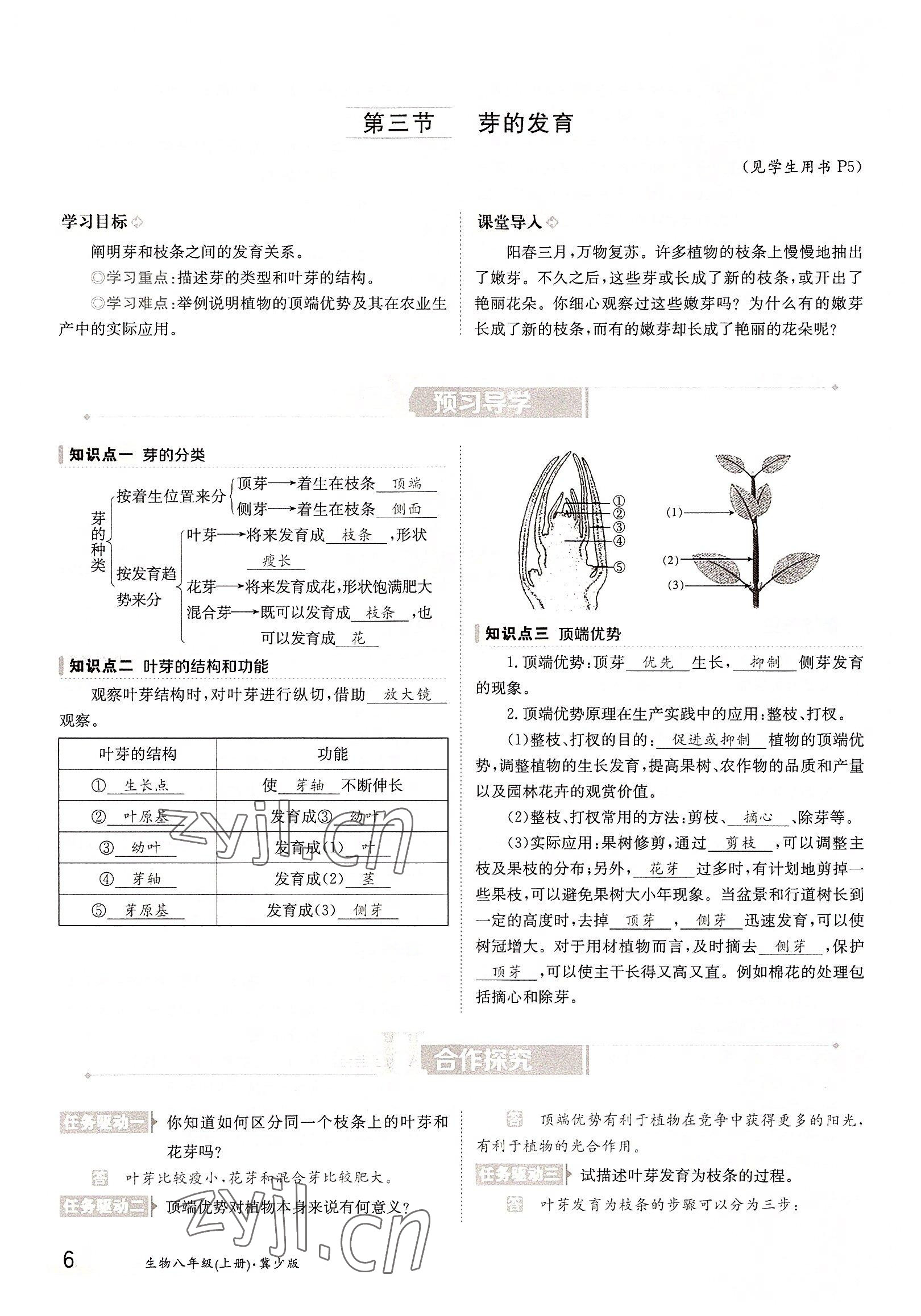 2022年三段六步導(dǎo)學(xué)測評八年級生物上冊冀少版&nbsp;參考答案第6頁