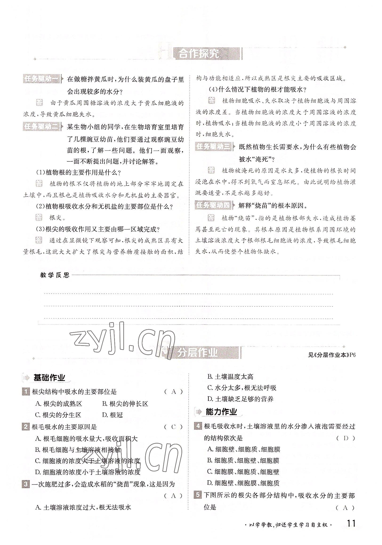 2022年三段六步導(dǎo)學(xué)測評八年級生物上冊冀少版&nbsp;參考答案第11頁