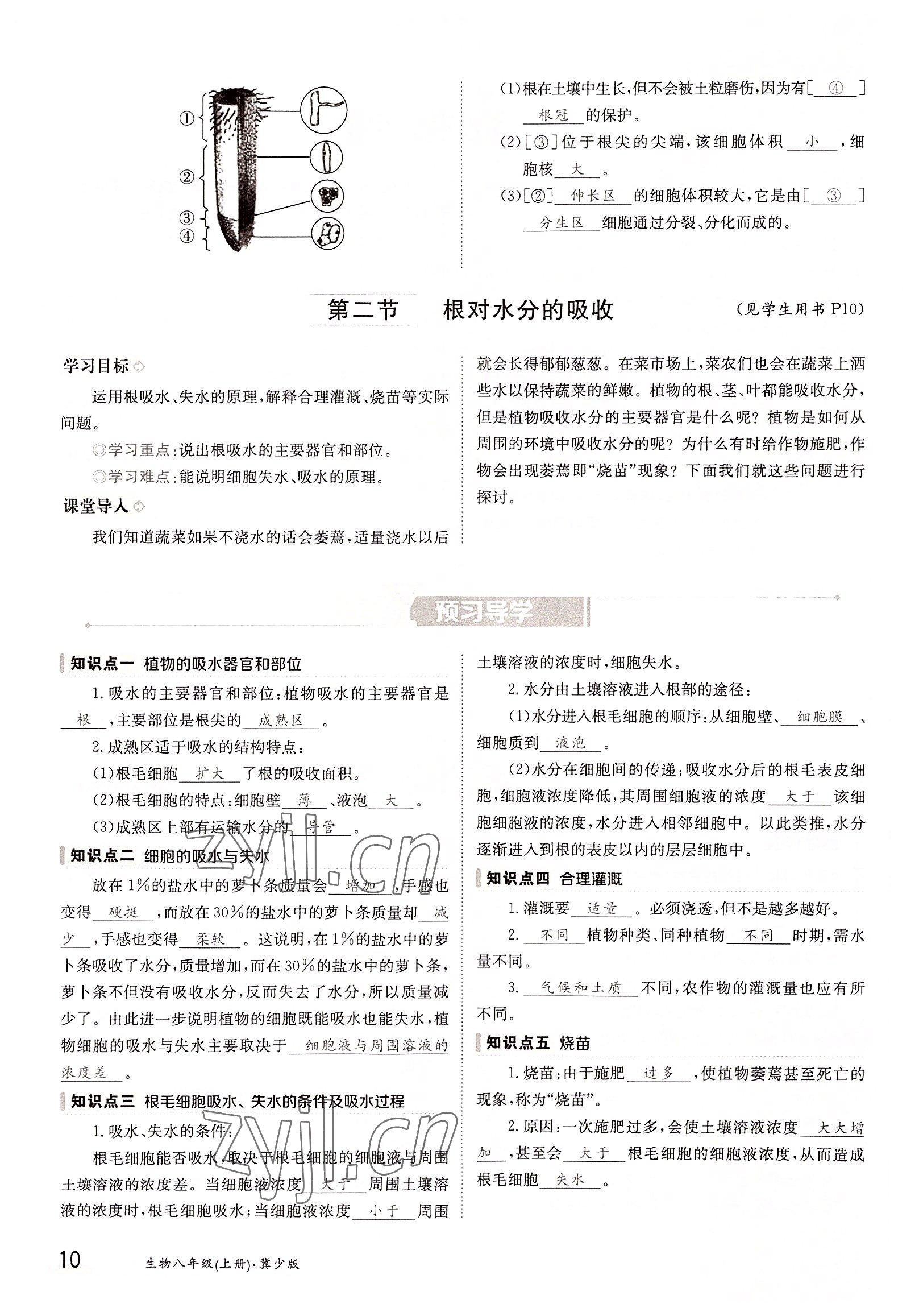 2022年三段六步導(dǎo)學(xué)測(cè)評(píng)八年級(jí)生物上冊(cè)冀少版&nbsp;參考答案第10頁