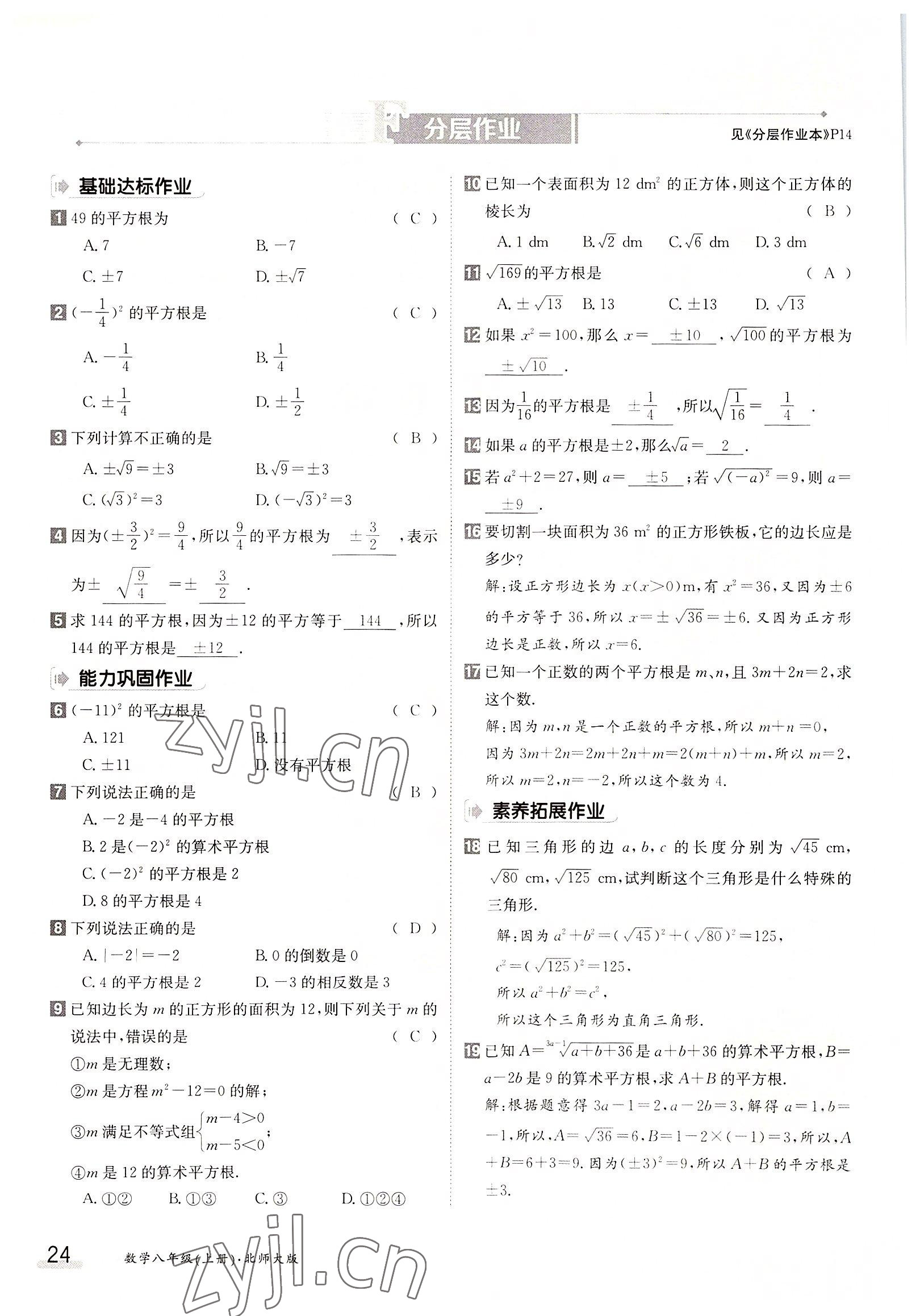 2022年三段六步导学测评八年级数学上册北师大版 参考答案第24页