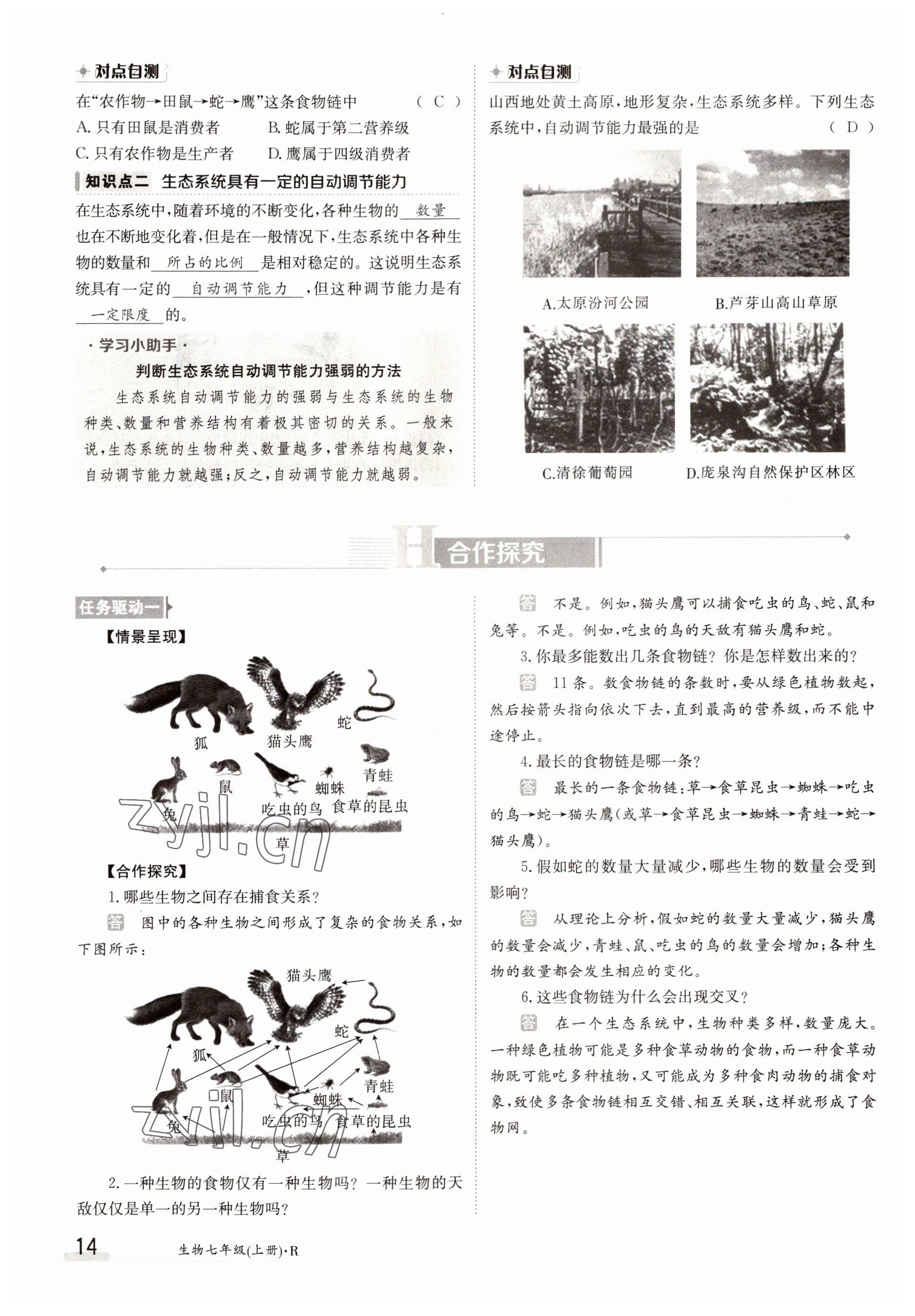 2022年三段六步導(dǎo)學(xué)測評七年級生物上冊人教版 參考答案第14頁