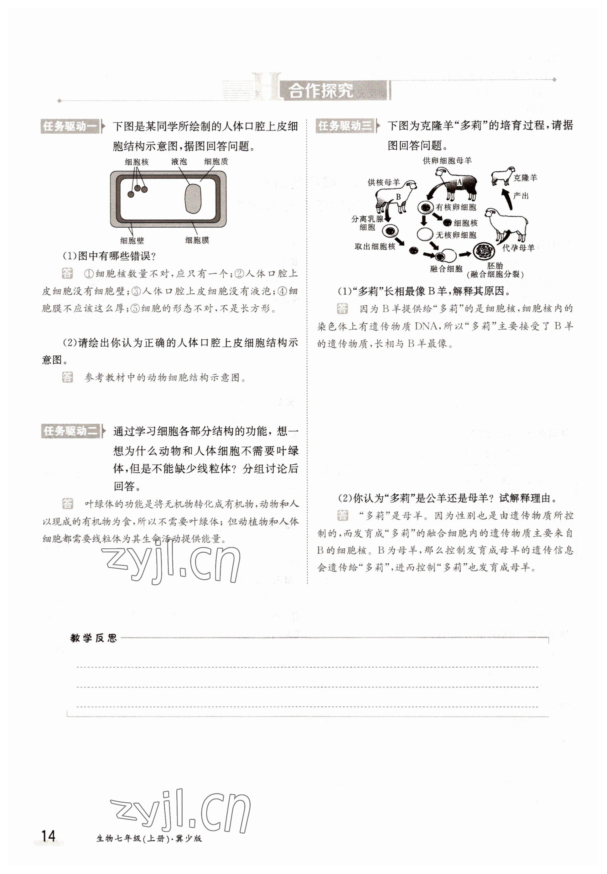 2022年三段六步導(dǎo)學(xué)測評七年級生物上冊冀少版 參考答案第14頁