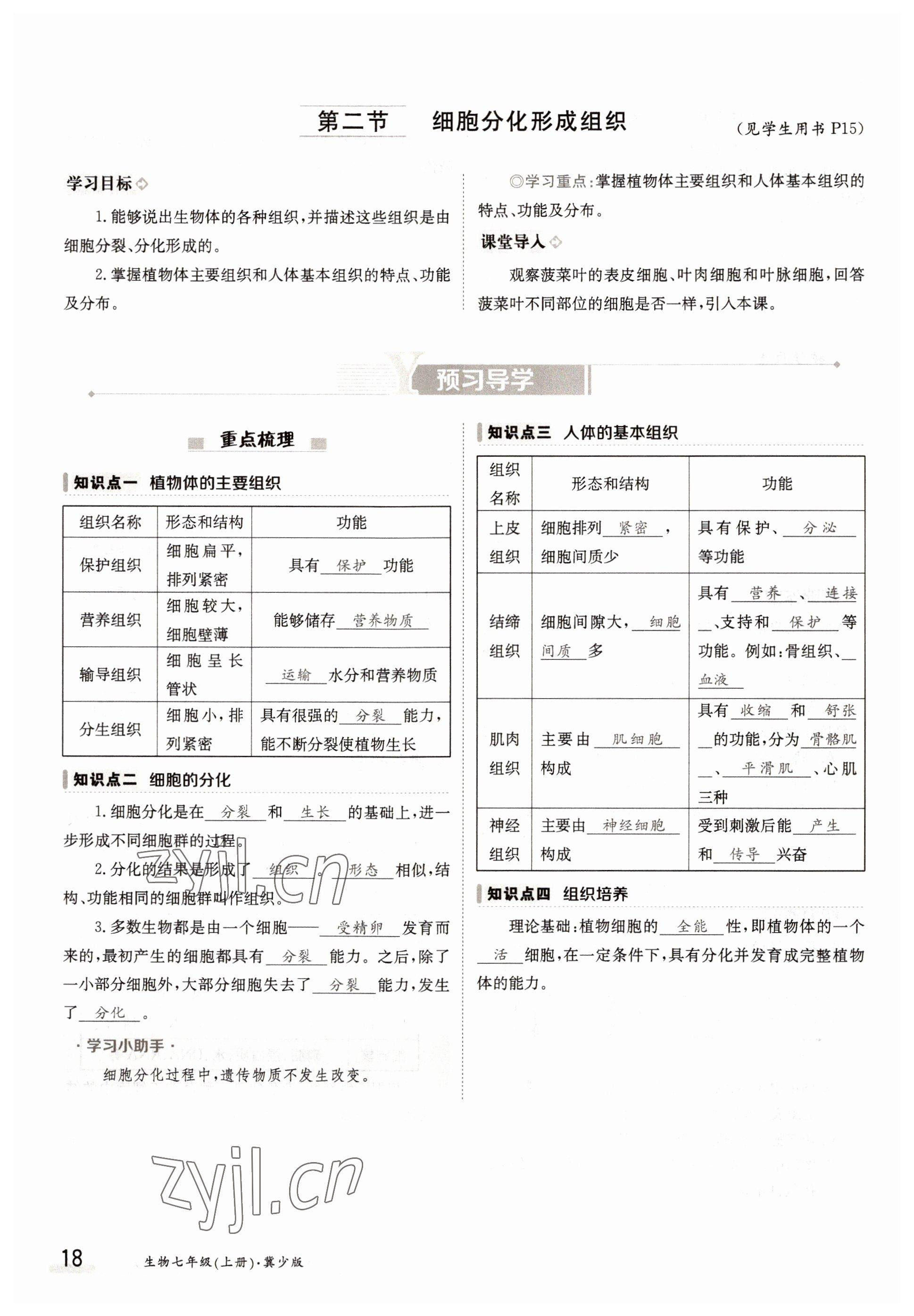 2022年三段六步導(dǎo)學(xué)測評七年級生物上冊冀少版 參考答案第18頁