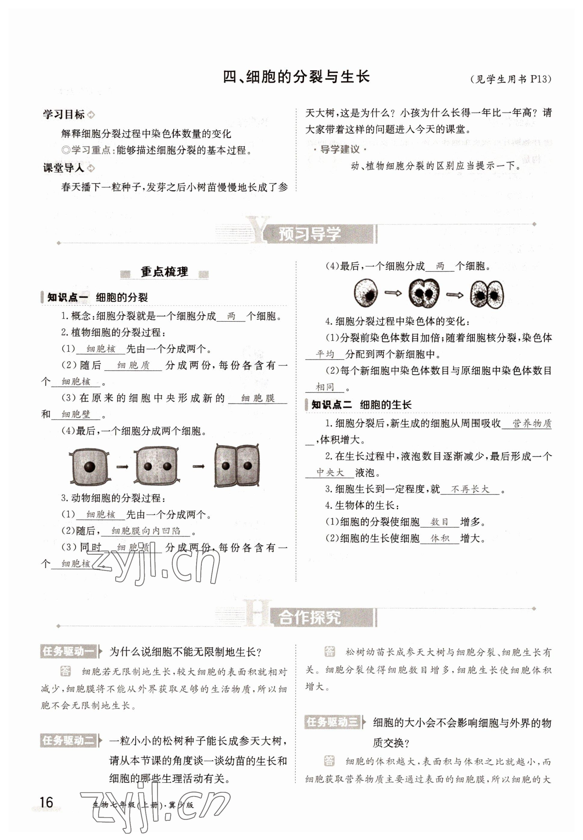 2022年三段六步導(dǎo)學(xué)測評(píng)七年級(jí)生物上冊冀少版 參考答案第16頁