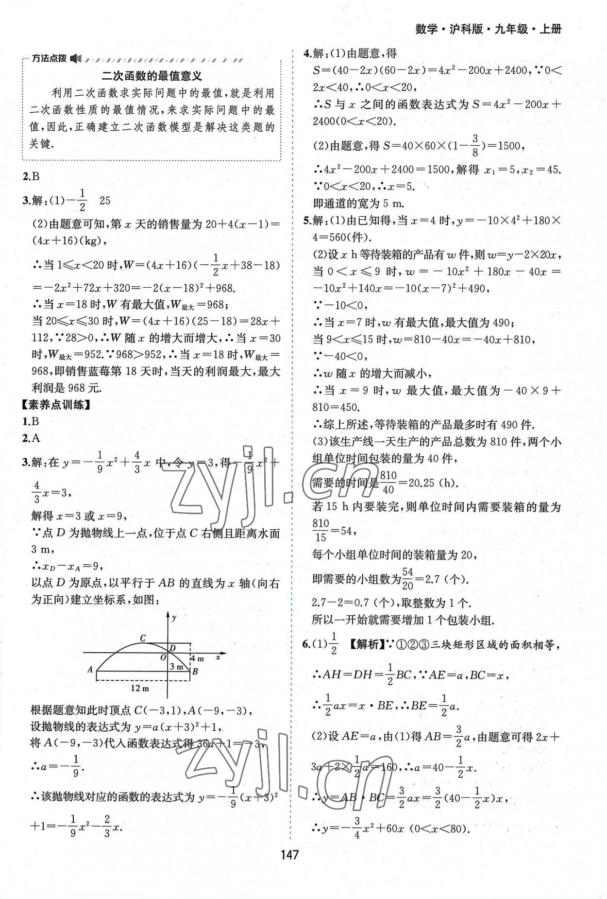 2022年新編基礎訓練九年級數(shù)學上冊滬科版黃山書社 第13頁