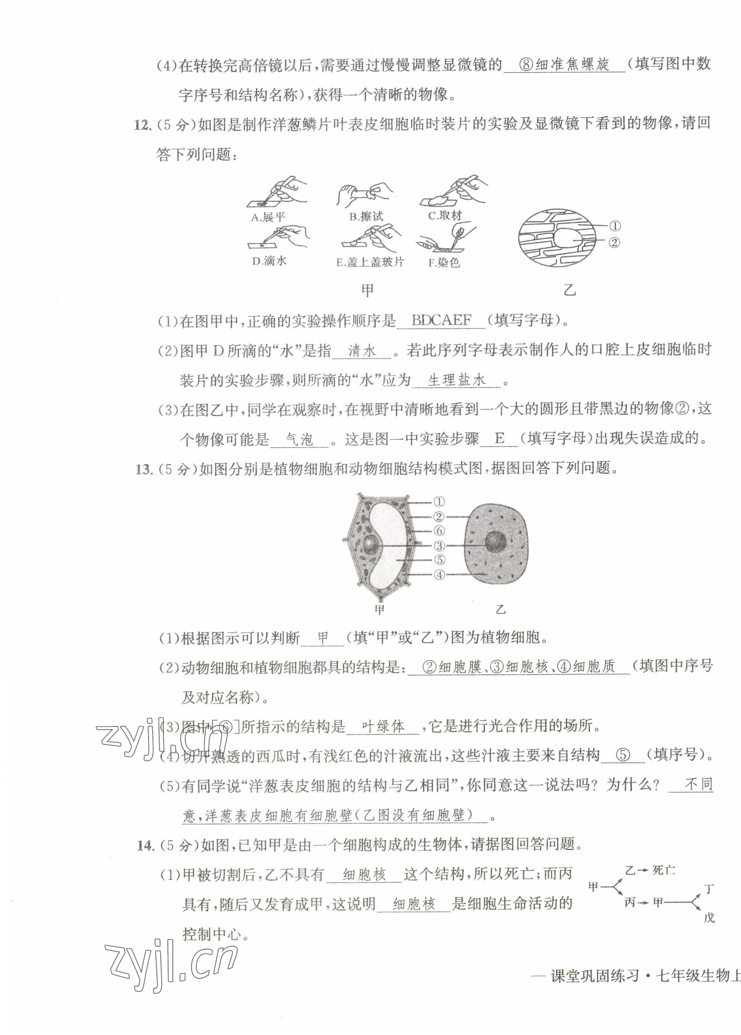 2022年課堂鞏固練習(xí)七年級(jí)地理生物上冊(cè)人教版 第7頁(yè)