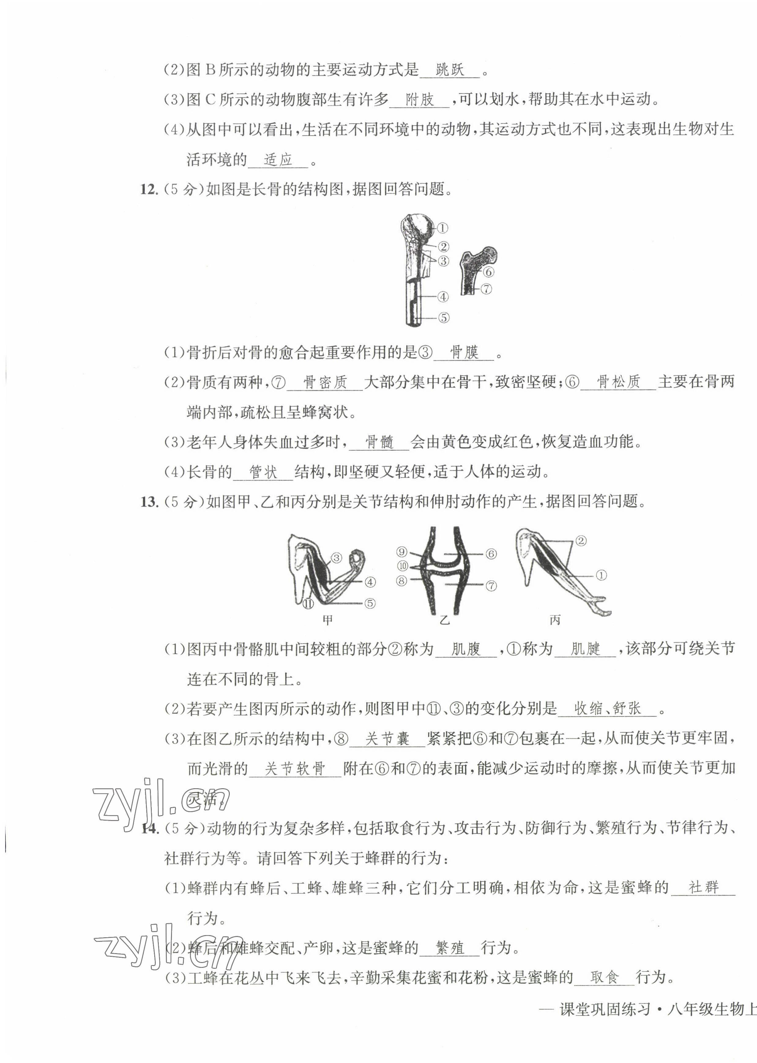 2022年课堂巩固练习八年级地理生物上册人教版 第3页