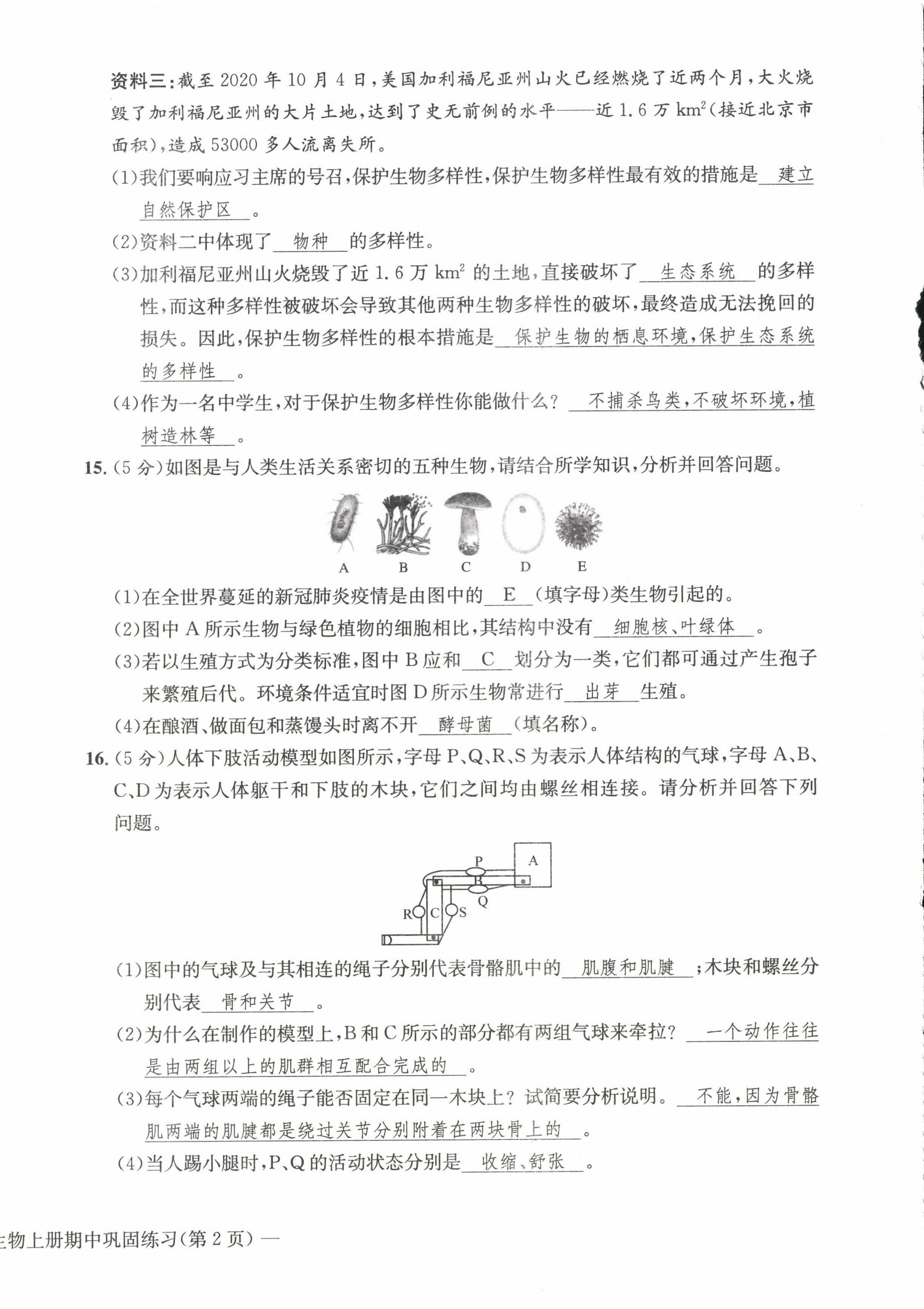 2022年課堂鞏固練習八年級地理生物上冊人教版 第12頁