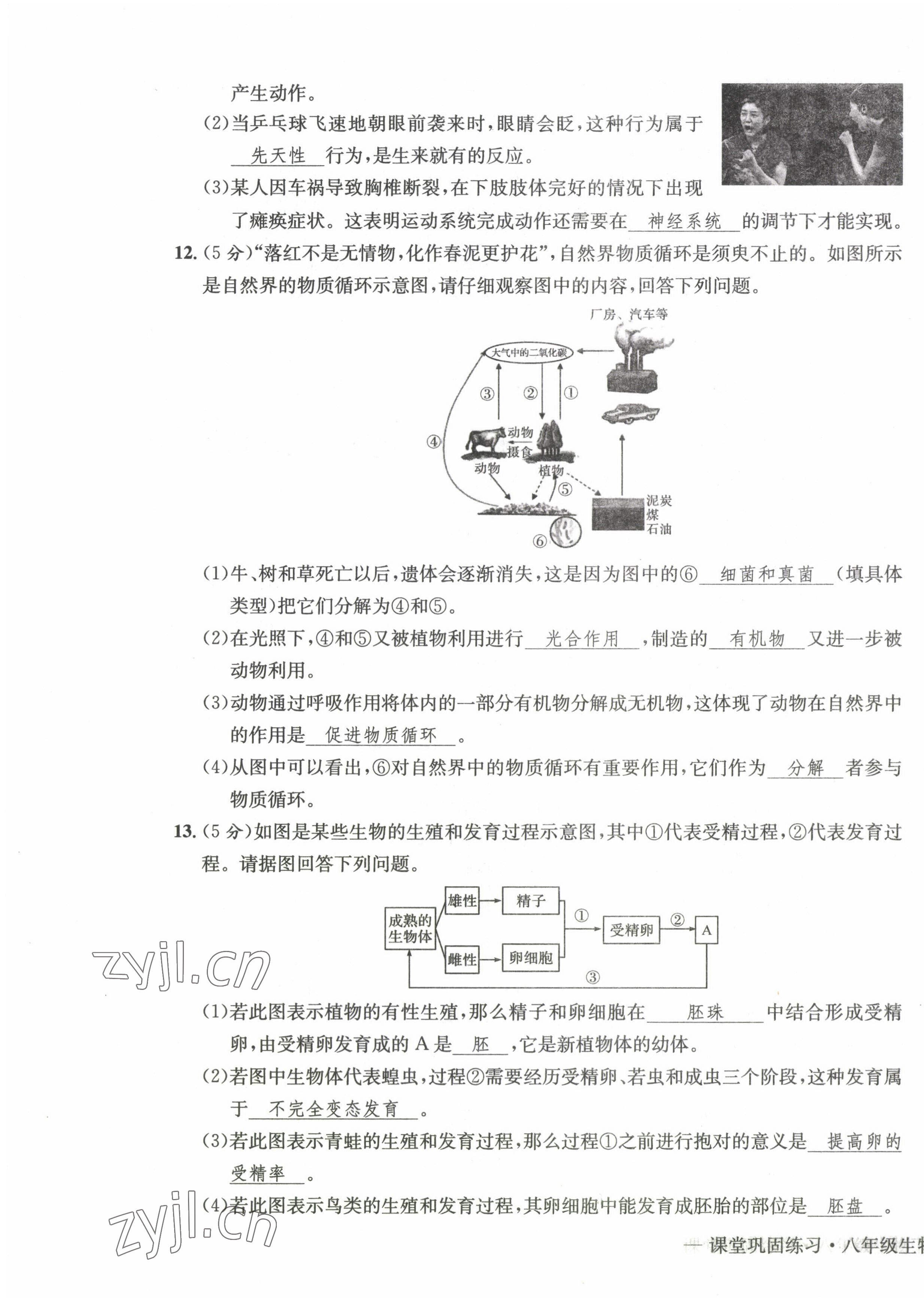 2022年课堂巩固练习八年级地理生物上册人教版 第23页