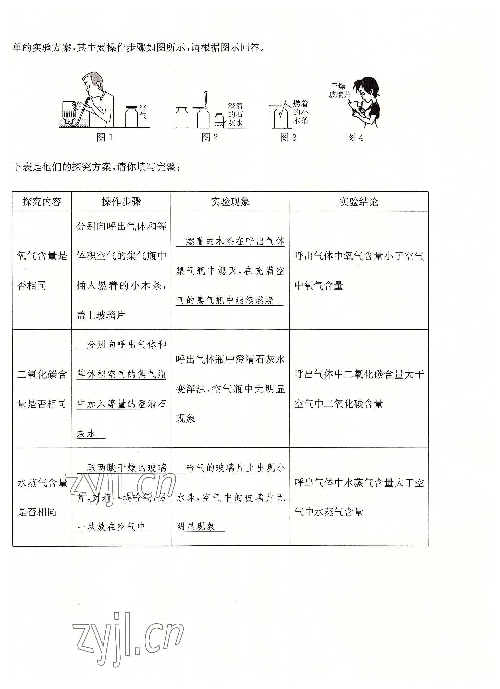2022年課堂鞏固練習(xí)九年級化學(xué)全一冊人教版 第6頁