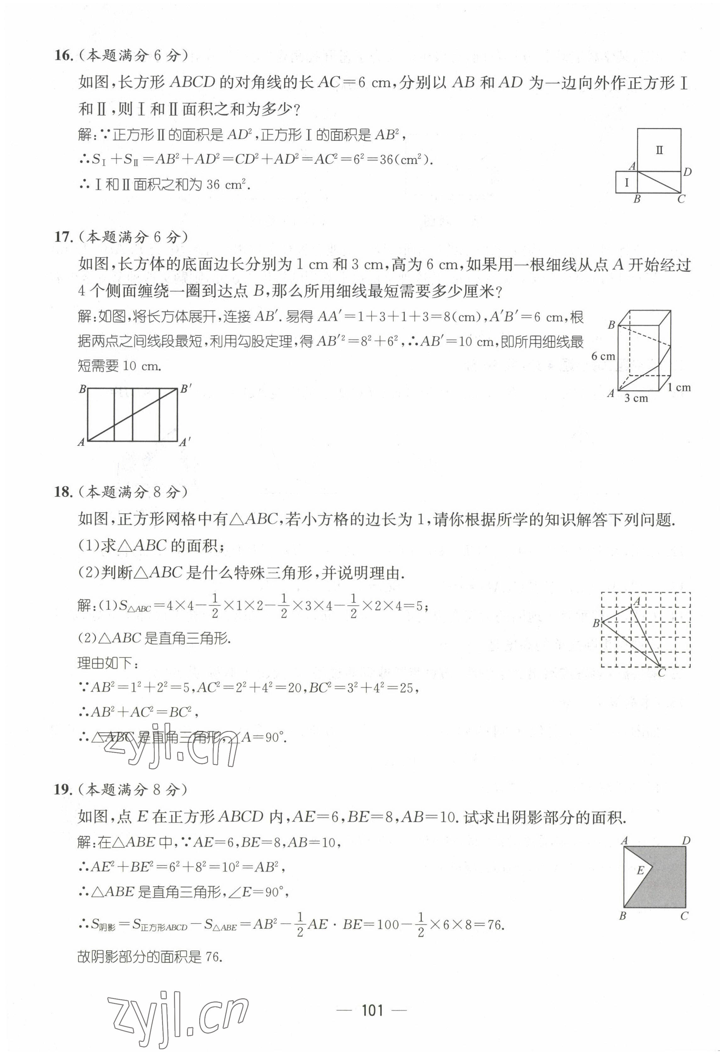 2022年名师测控八年级数学上册北师大版贵阳专版 参考答案第6页