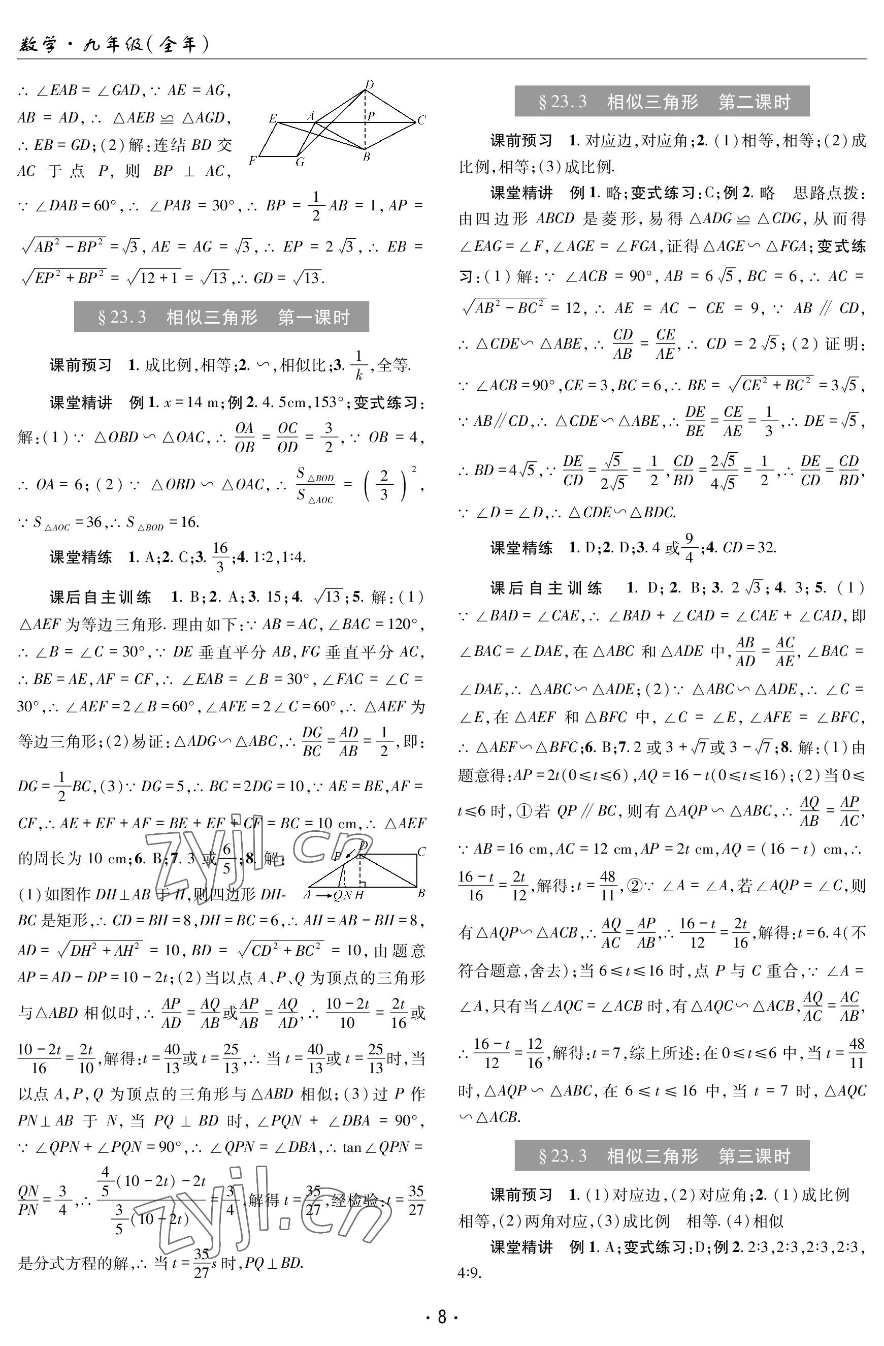 2022年理科爱好者九年级数学全一册华师大版第13期 参考答案第7页