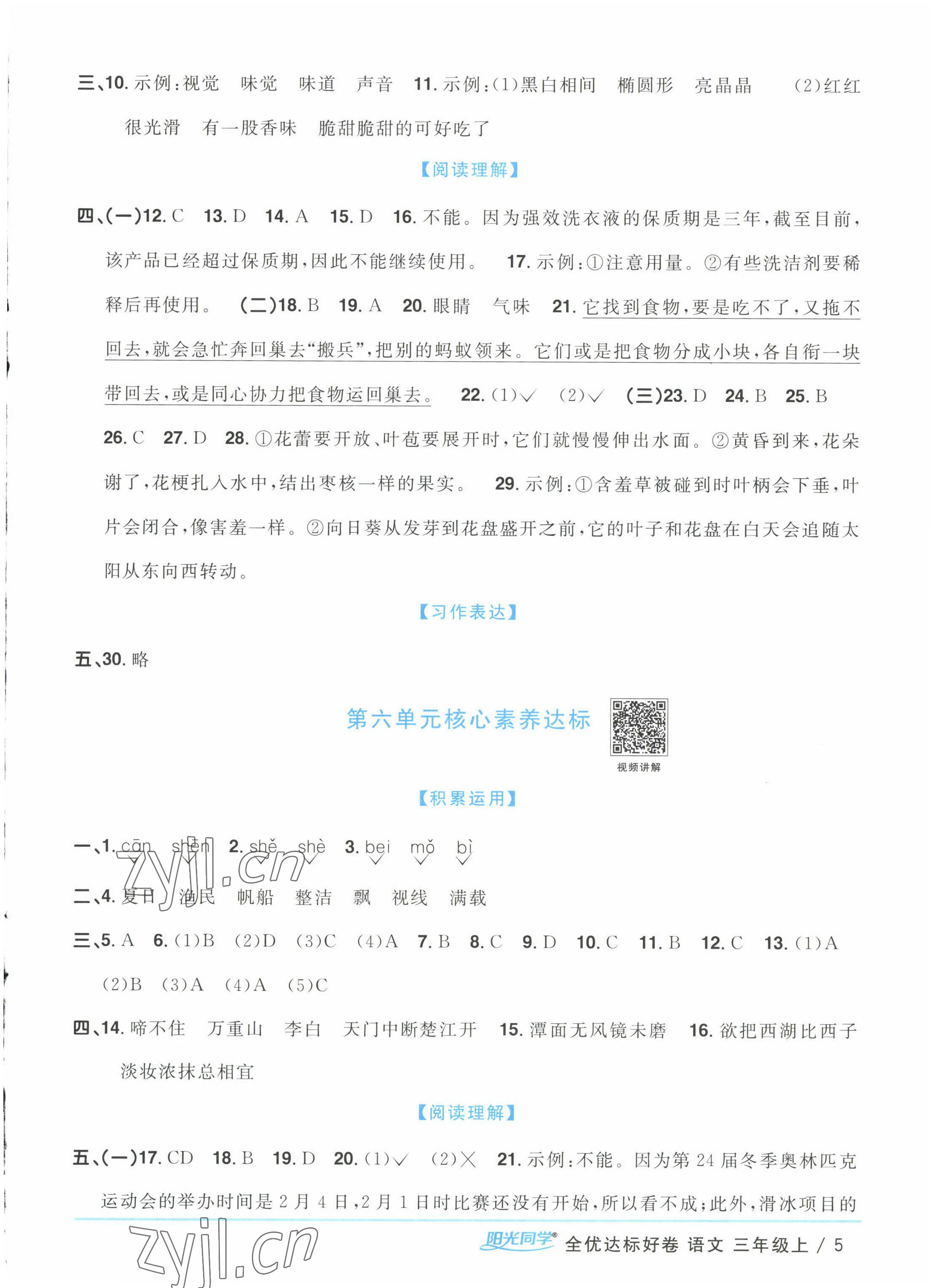 2022年陽(yáng)光同學(xué)全優(yōu)達(dá)標(biāo)好卷三年級(jí)語(yǔ)文上冊(cè)人教版浙江專版 第5頁(yè)