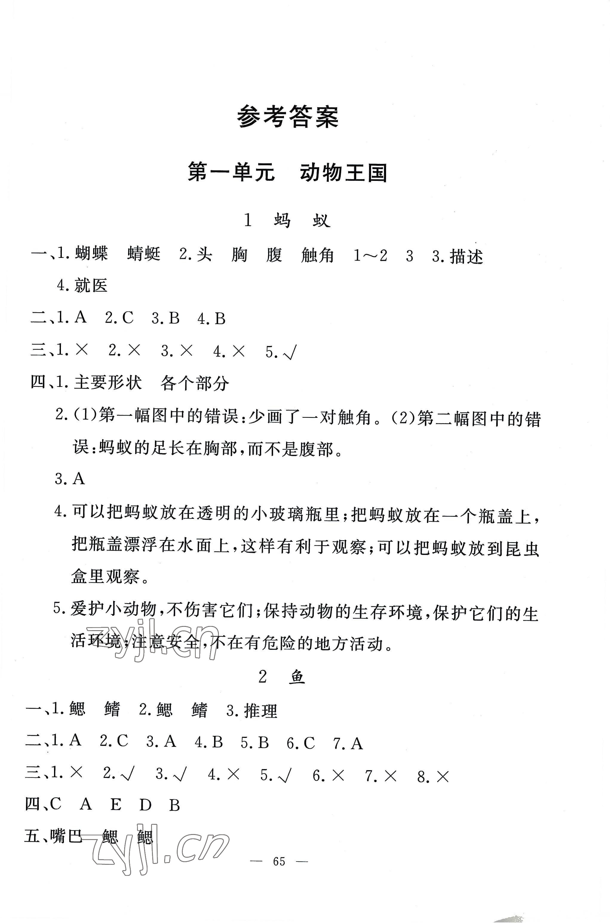 2022年同步練習(xí)冊山東科學(xué)技術(shù)出版社四年級科學(xué)上冊青島版 第1頁