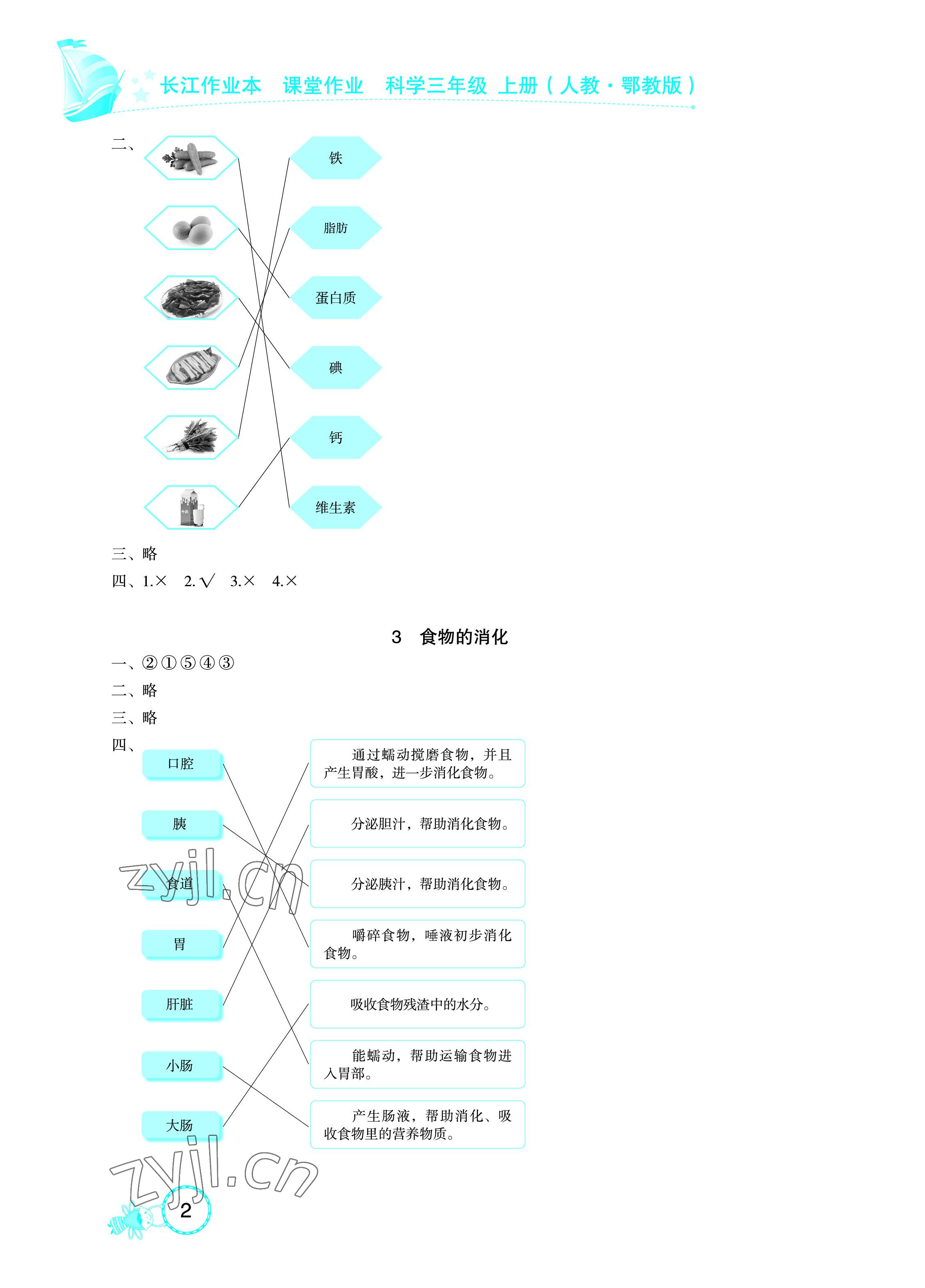 2022年长江作业本课堂作业三年级科学上册鄂教版 参考答案第2页