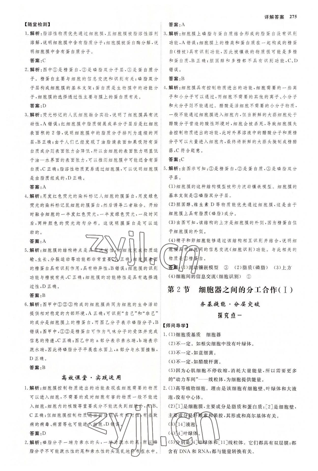 2022年師說高中生物必修1人教版 參考答案第10頁