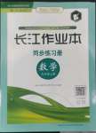 2022年長江作業(yè)本同步練習(xí)冊九年級(jí)數(shù)學(xué)上冊人教版